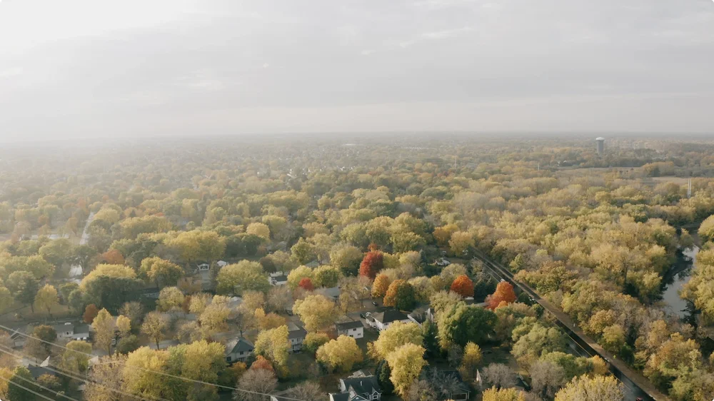 Screenshot 2025-03-19 at 11.39.27 AM.jpeg