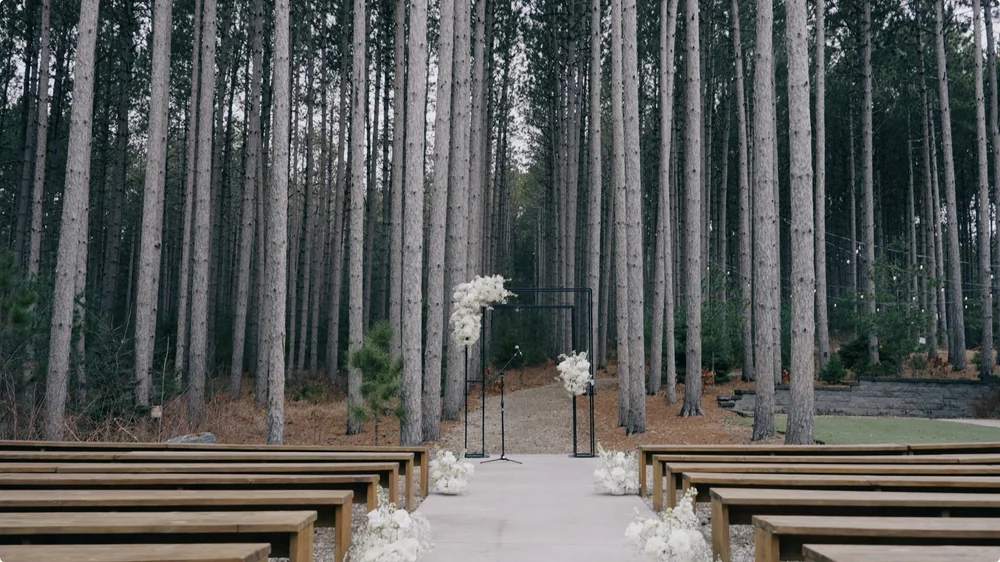 Screenshot 2025-06-09 at 4.25.40 PM.jpeg