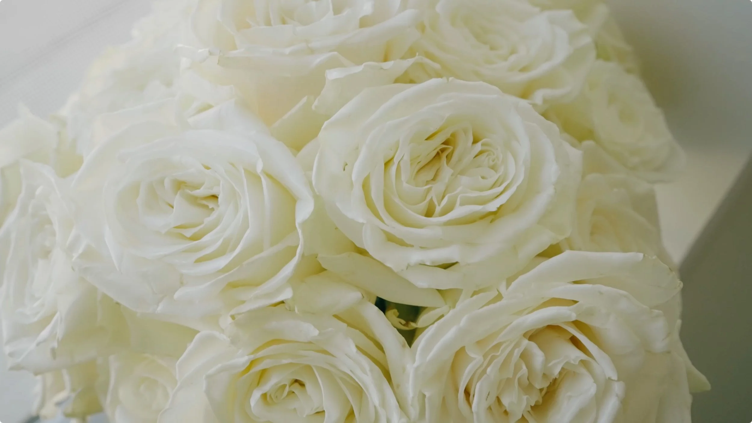 Screenshot 2025-08-04 at 17.47.39.jpeg