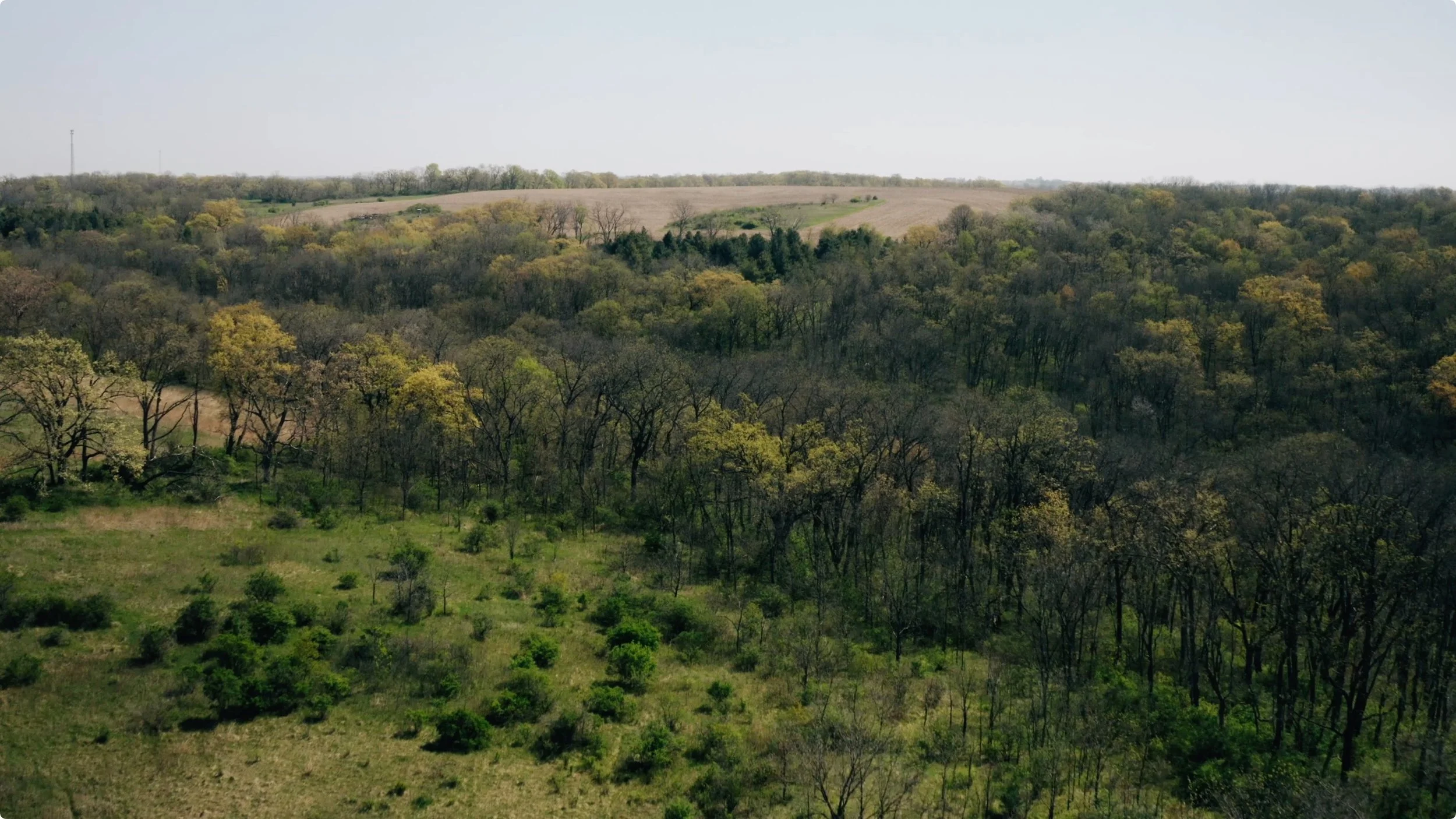 Screenshot 2025-08-04 at 17.46.35.jpeg