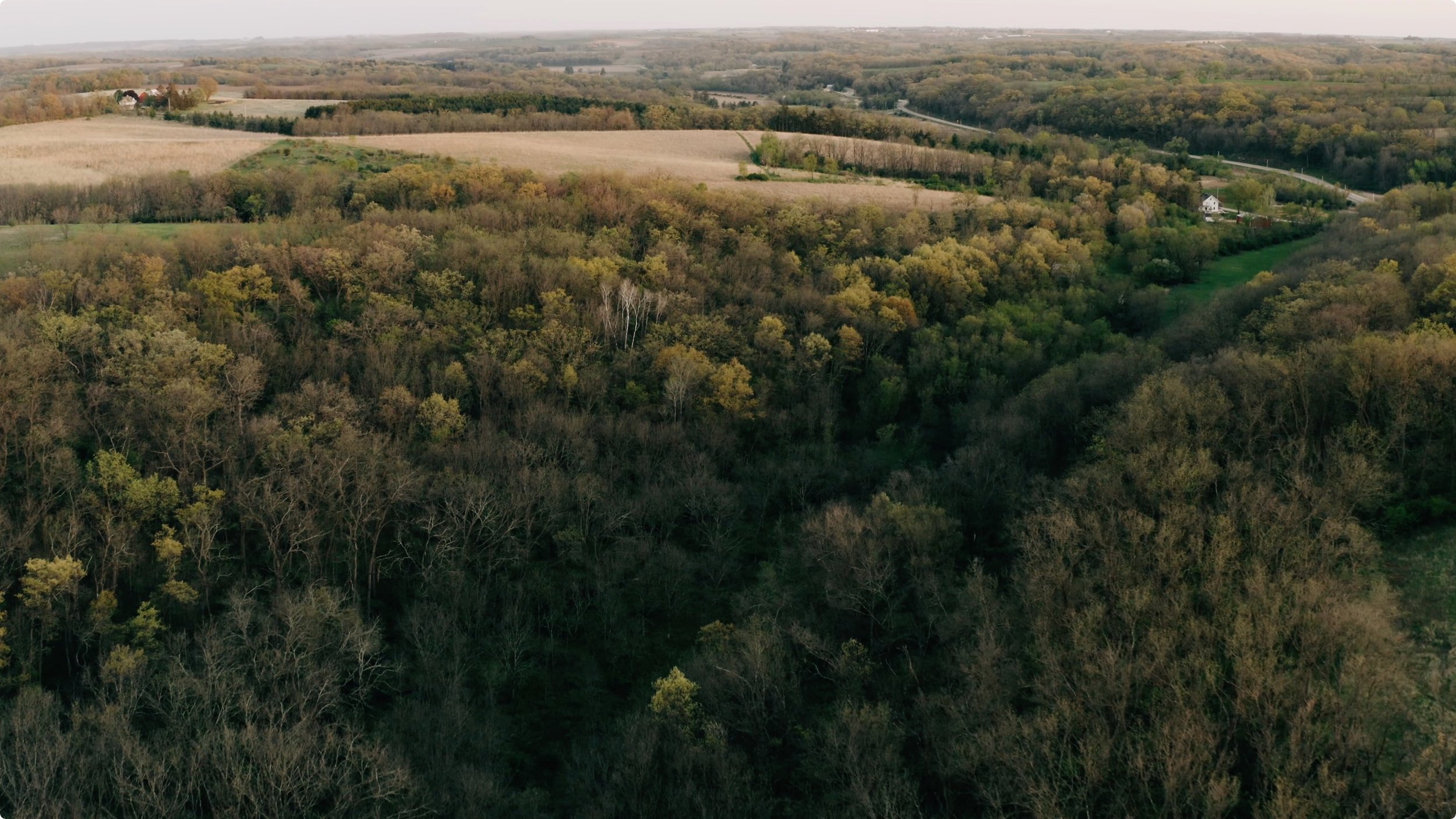 Screenshot 2025-08-04 at 18.03.44.jpeg