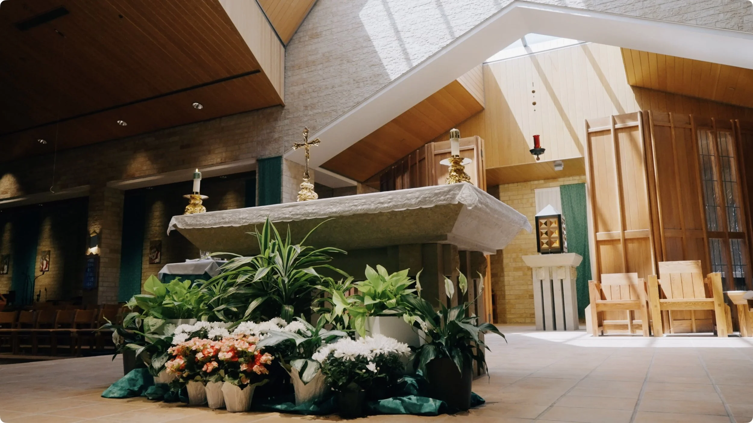 Screenshot 2025-09-25 at 11.31.23.jpeg