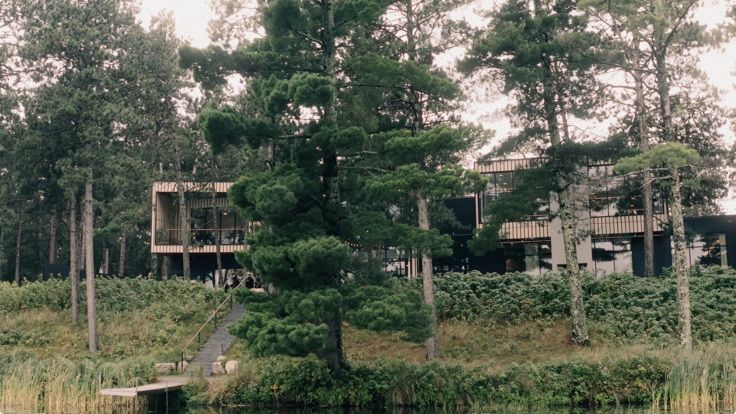 Screenshot 2026-01-28 at 10.27.00 AM.jpeg