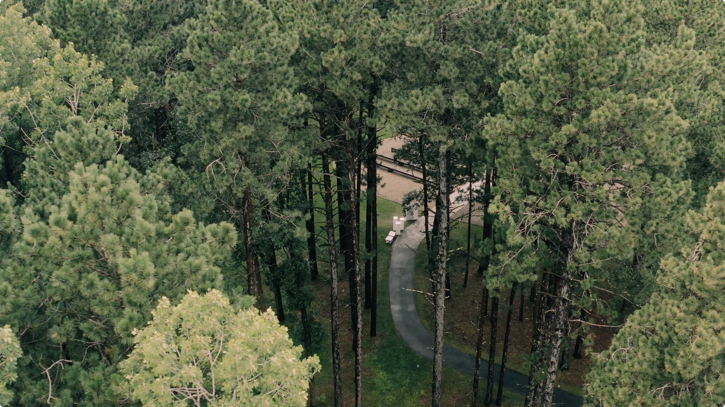 Screenshot 2026-01-28 at 10.31.10 AM.jpeg