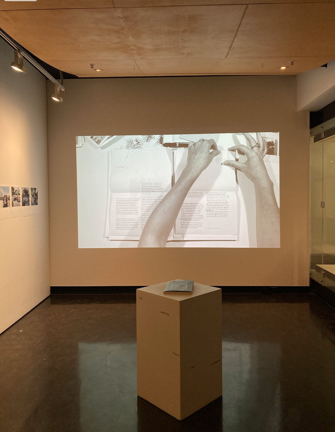 Installation at Counihan Gallery