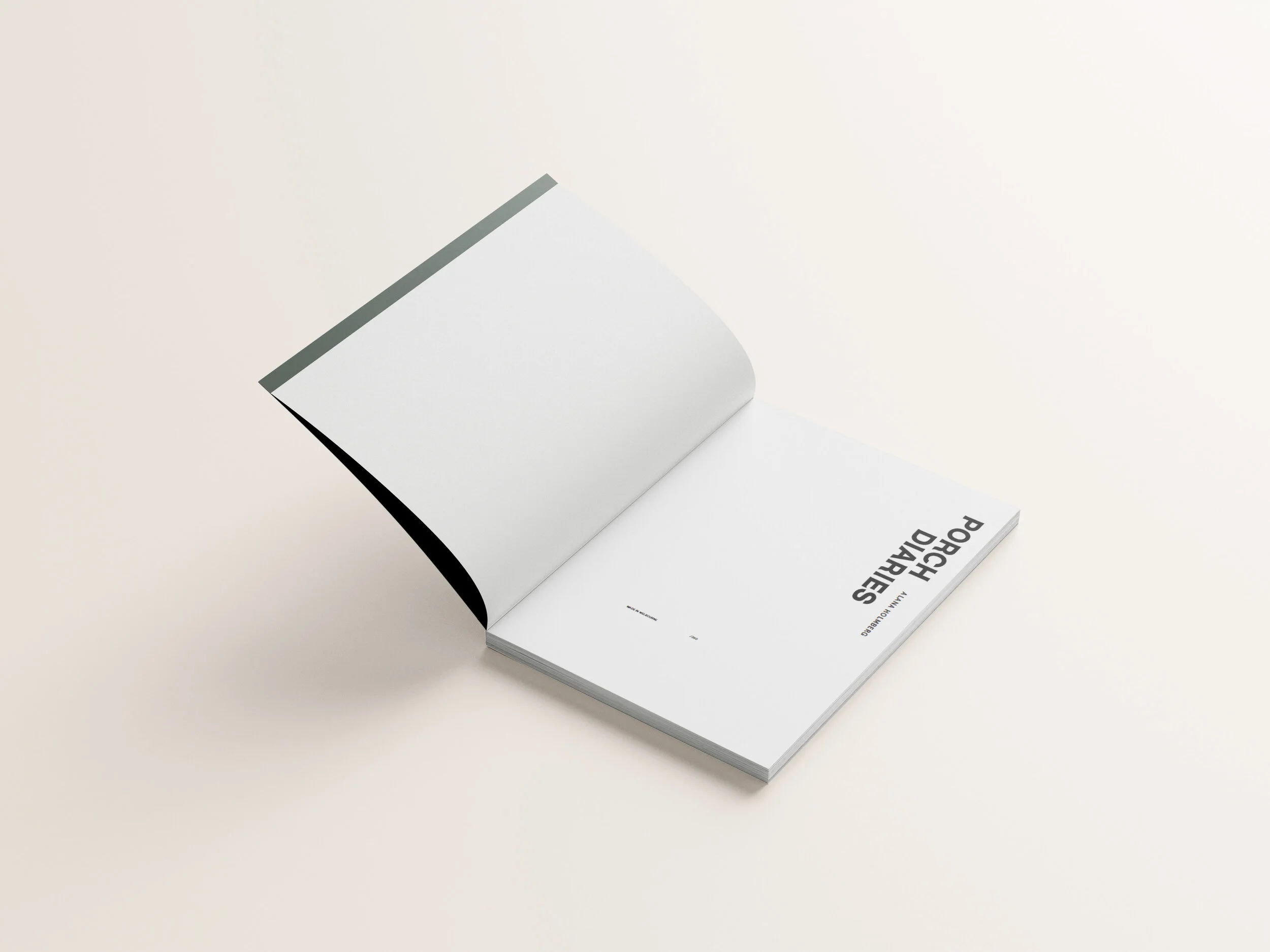 MOckup inside cover_.jpg