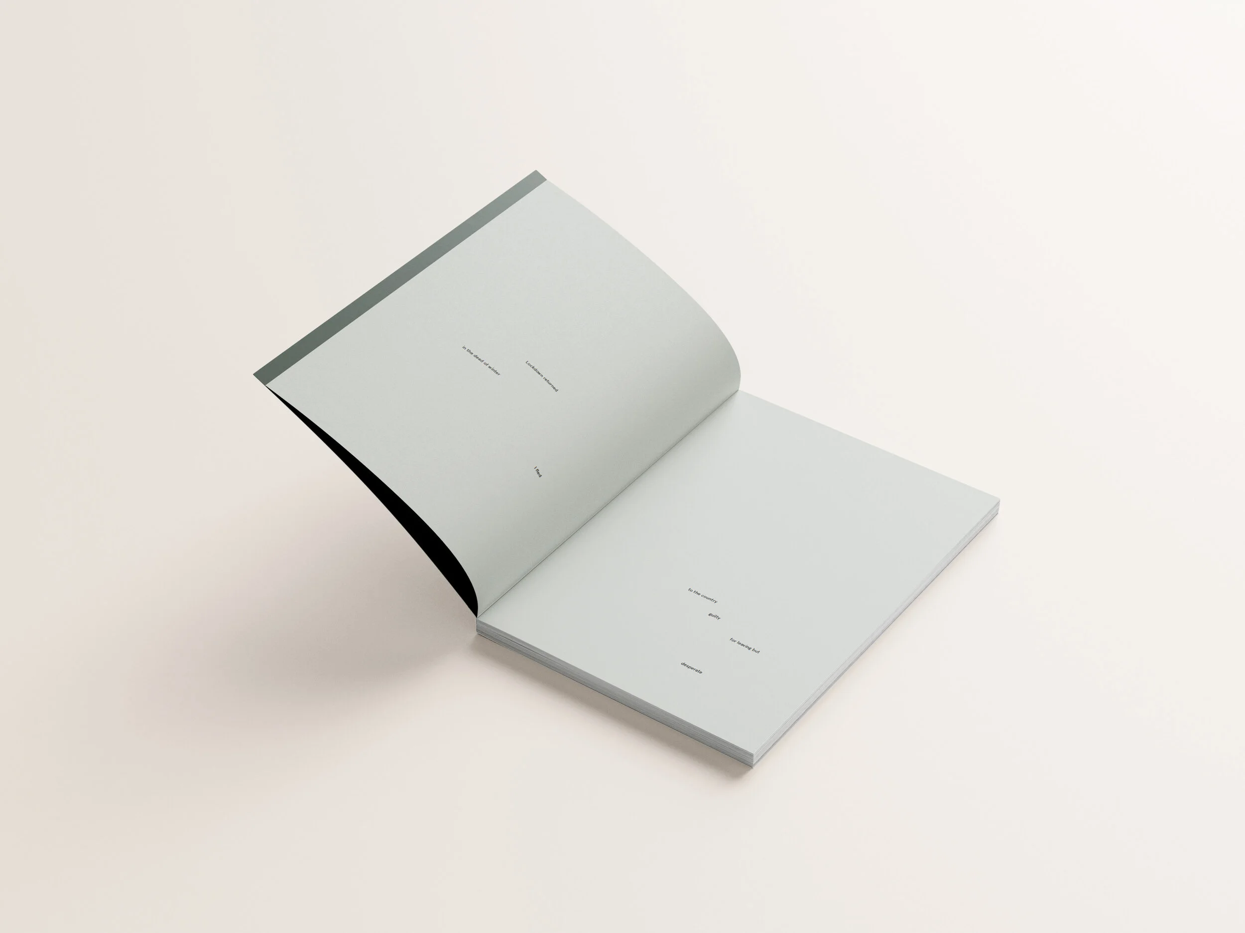 MOckup inside poem.jpg