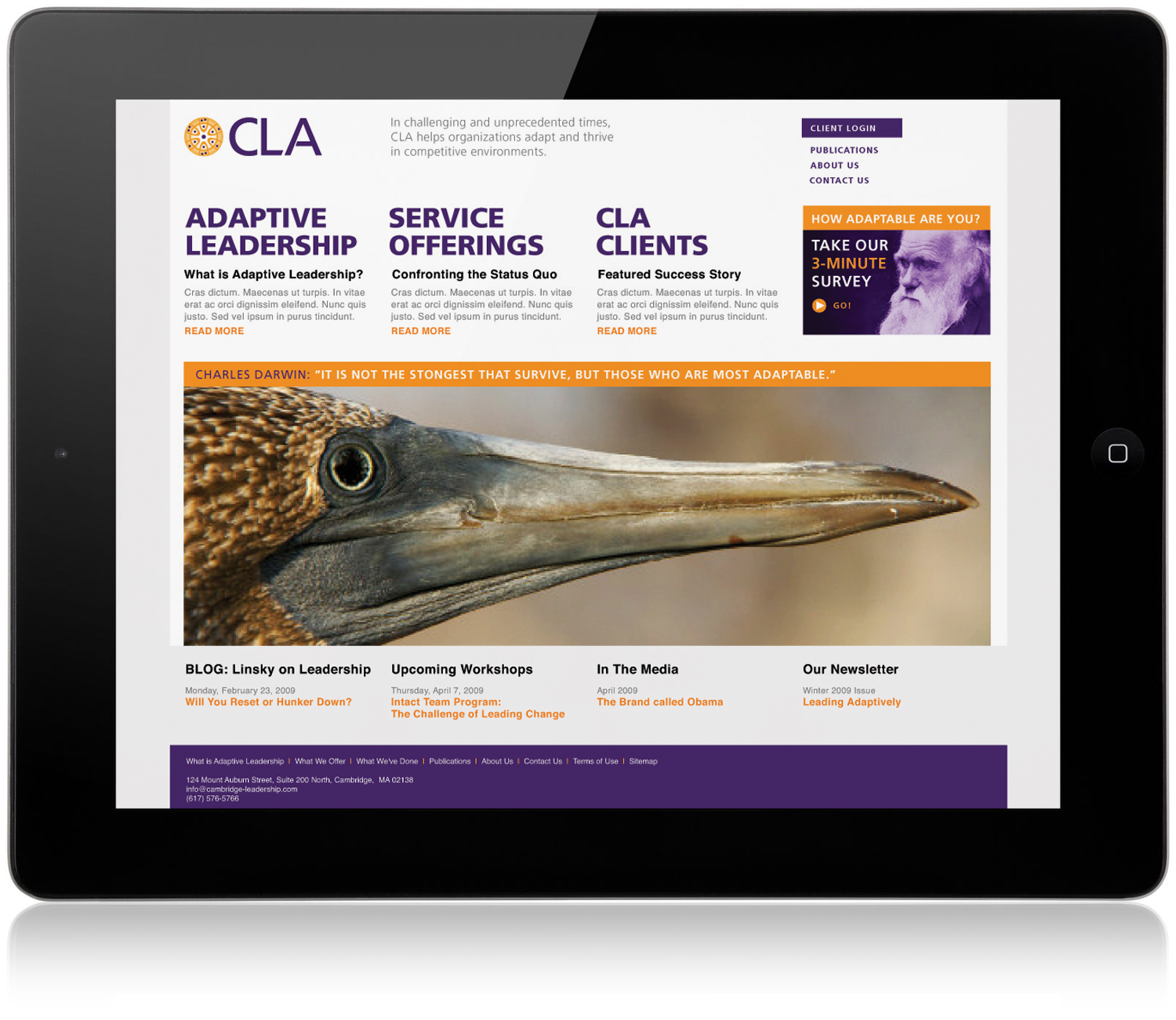 CLA_web1.jpg