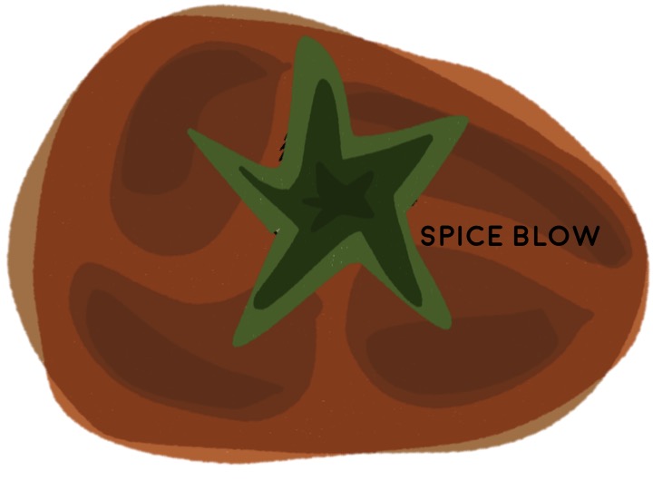 4) Pre-Spice Mass