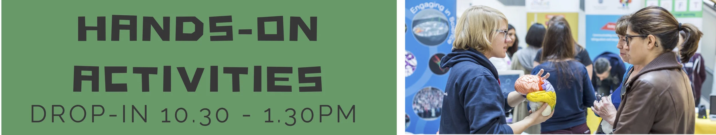 Brainworks Poster 2.jpg