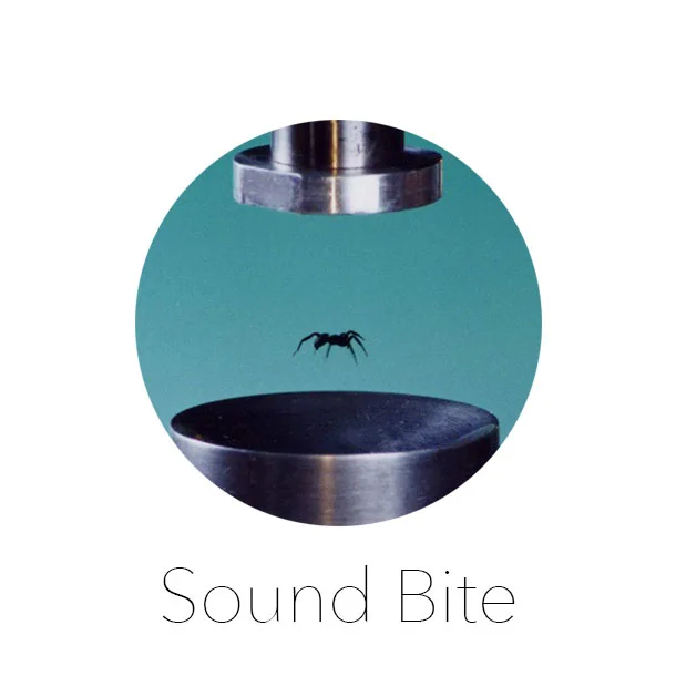 Acoustic Levitation