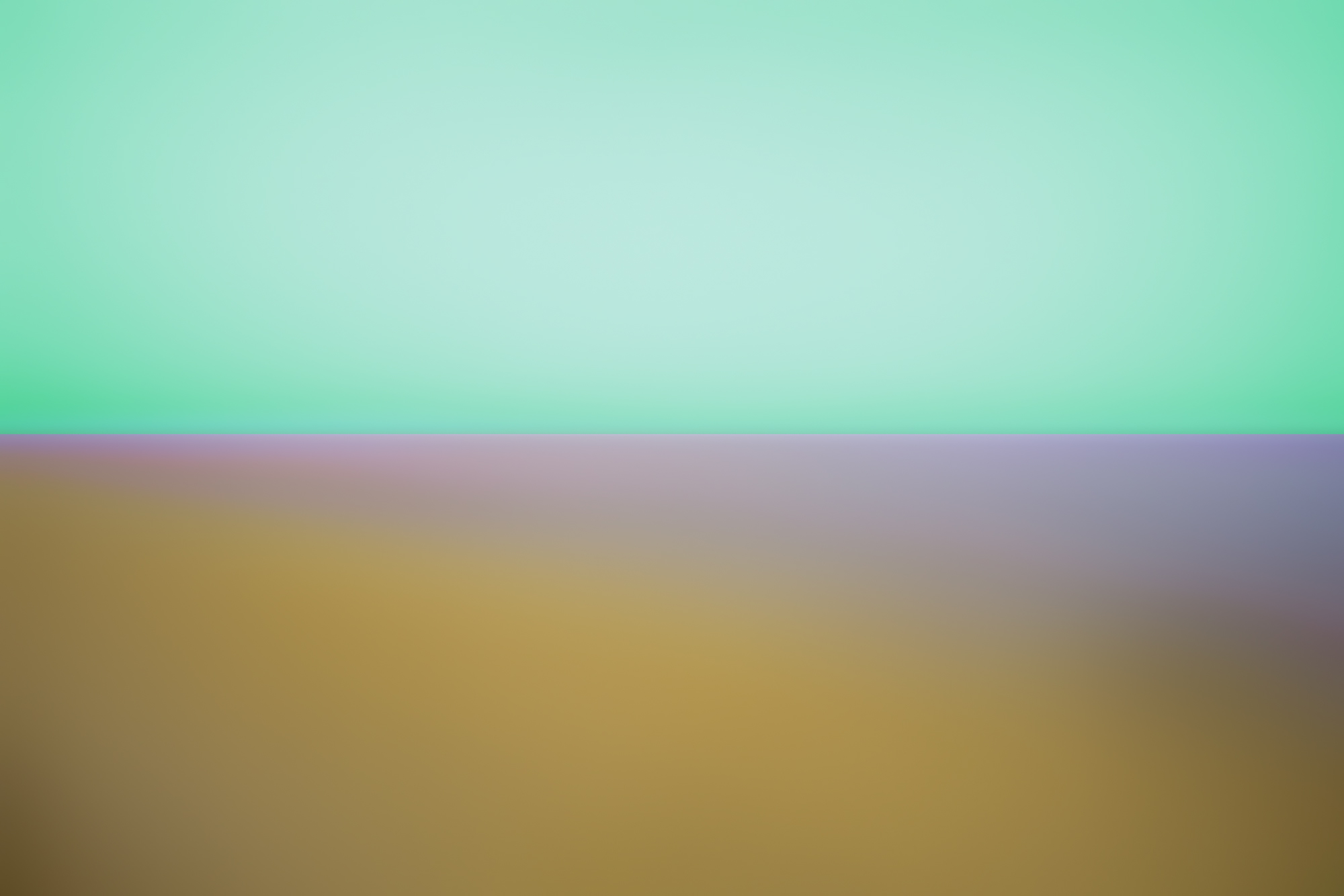   Study for a Plastic Landscape (Caumsett 2119) #09 , 2019, Archival Inkjet Print, 24”x36” 