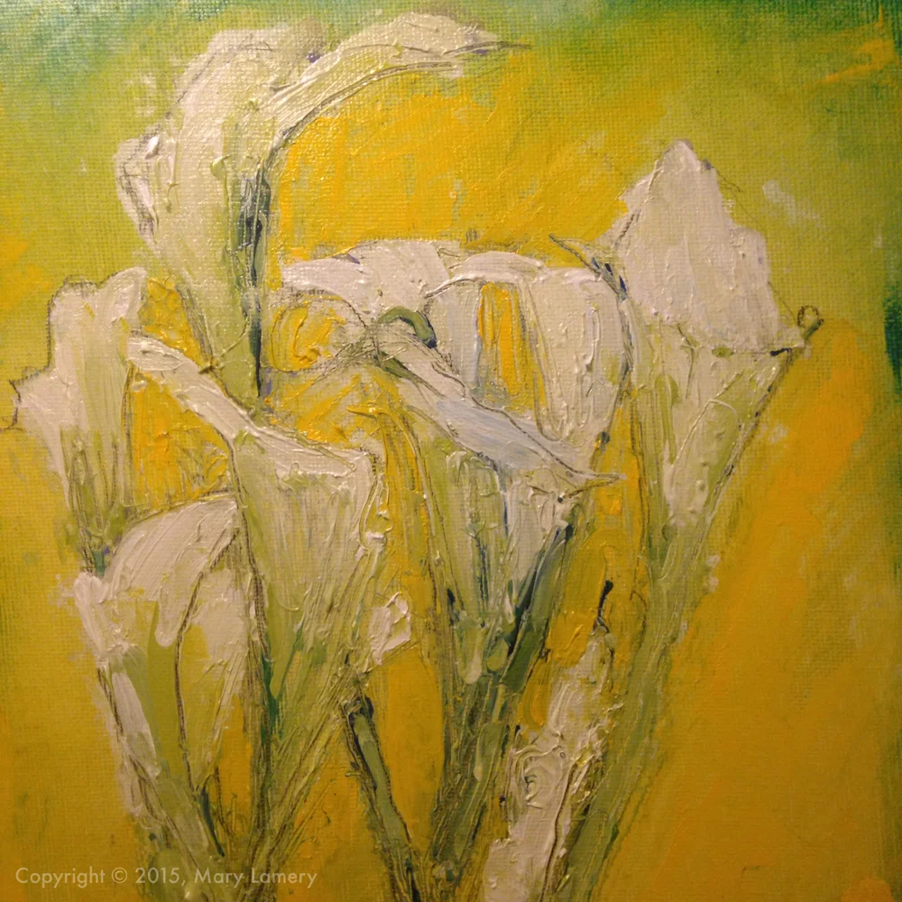 The Calla Lilies are in Bloom Again — mary lamery