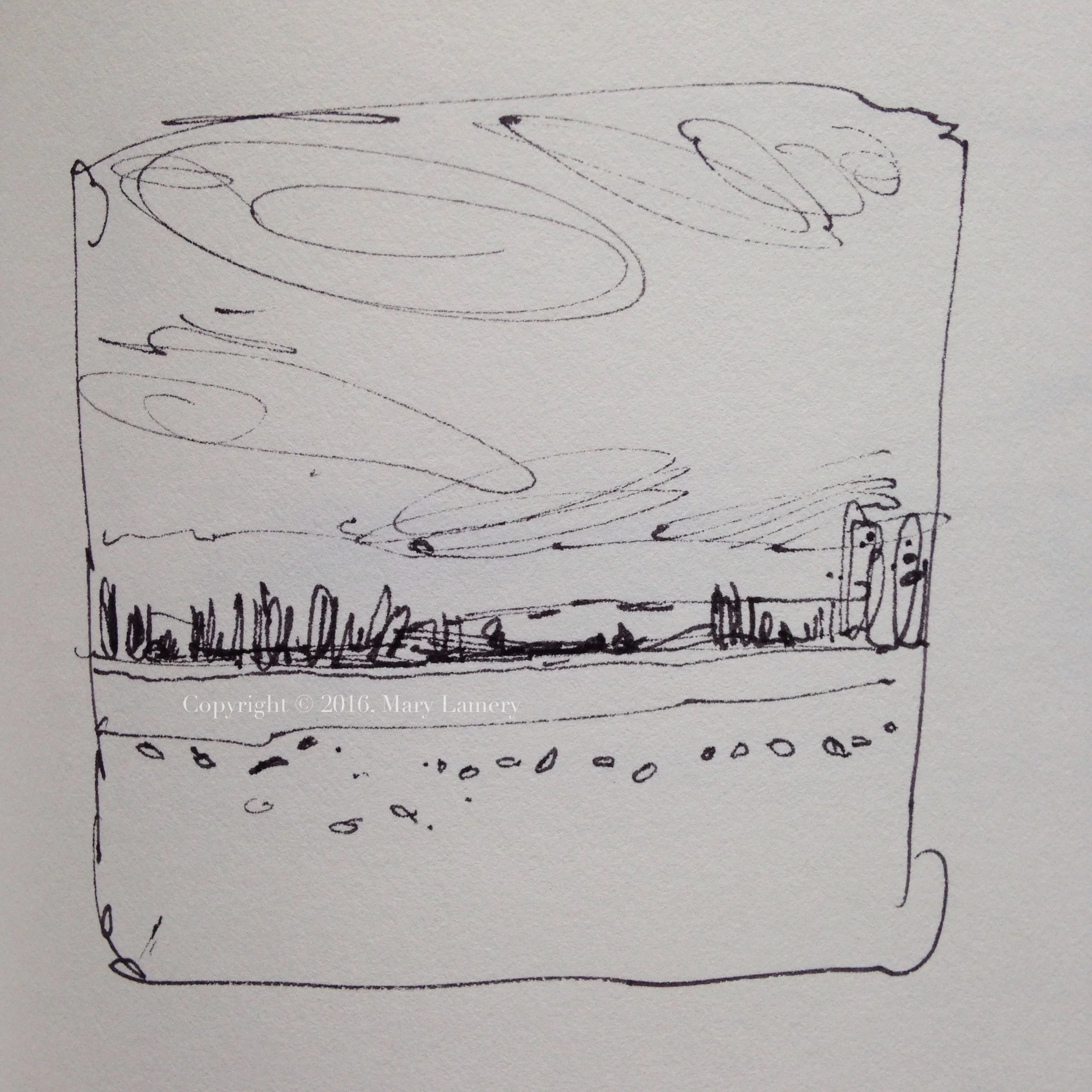 Sketch: Snow Geese in field.
