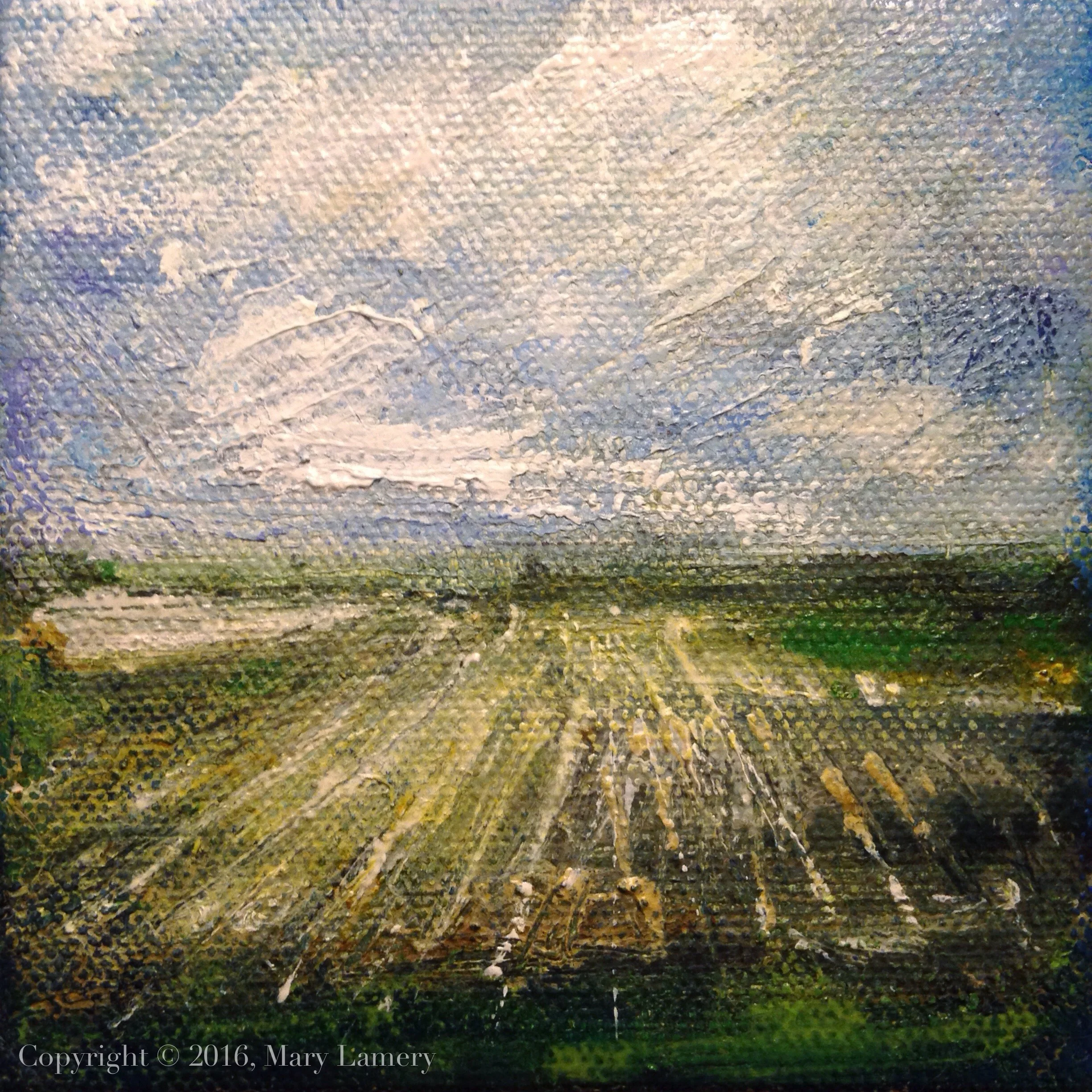 Farmland. Oil on Canvas, 4x4." 2016. M. Lamery