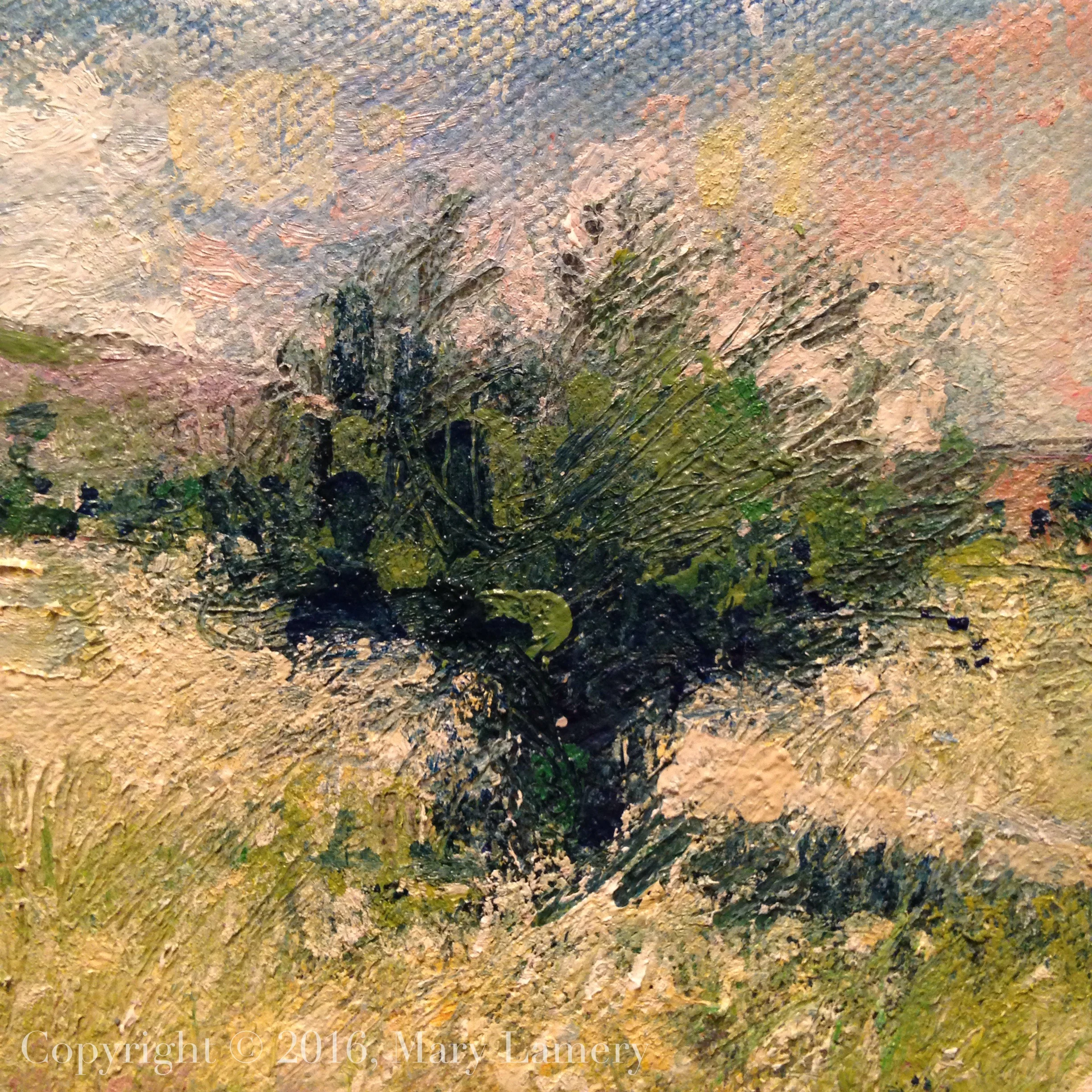 Apple tree 2.jpg