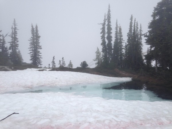 I encountered an ice pond as we came closer to the mountain ridge.