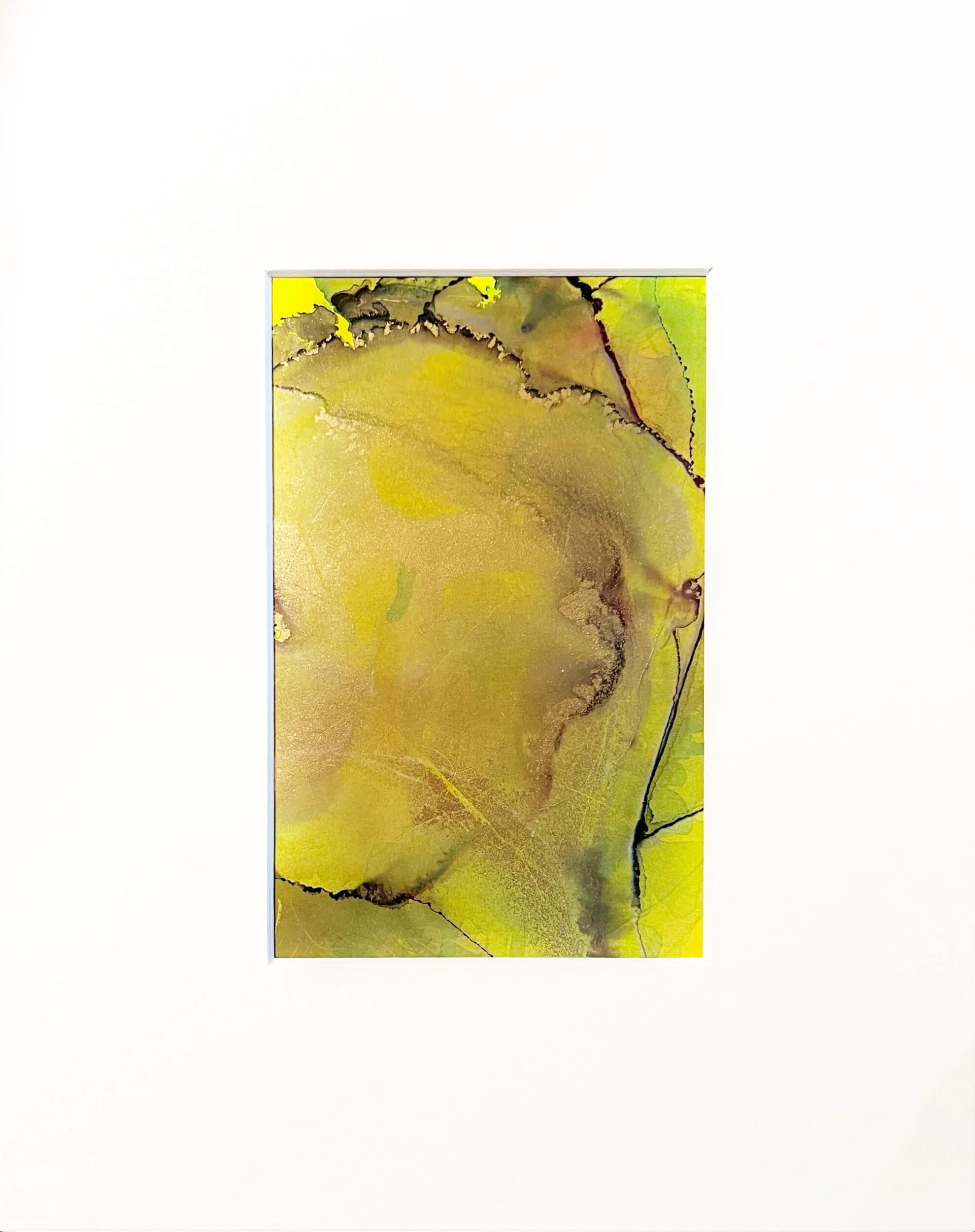 B998AA0B-4564-4BF9-890E-A46FA7DEDD99