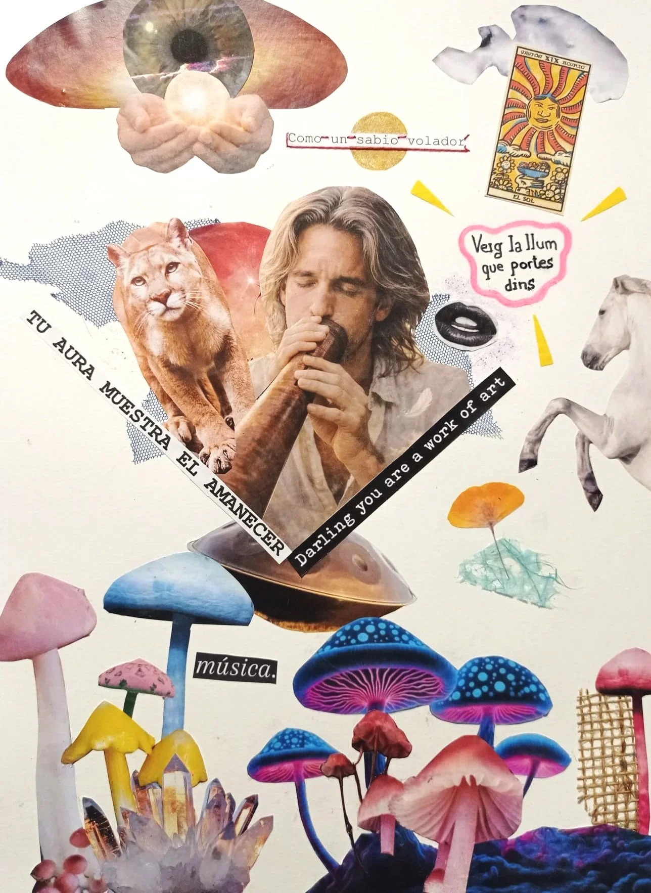 Collage Edu.jpeg