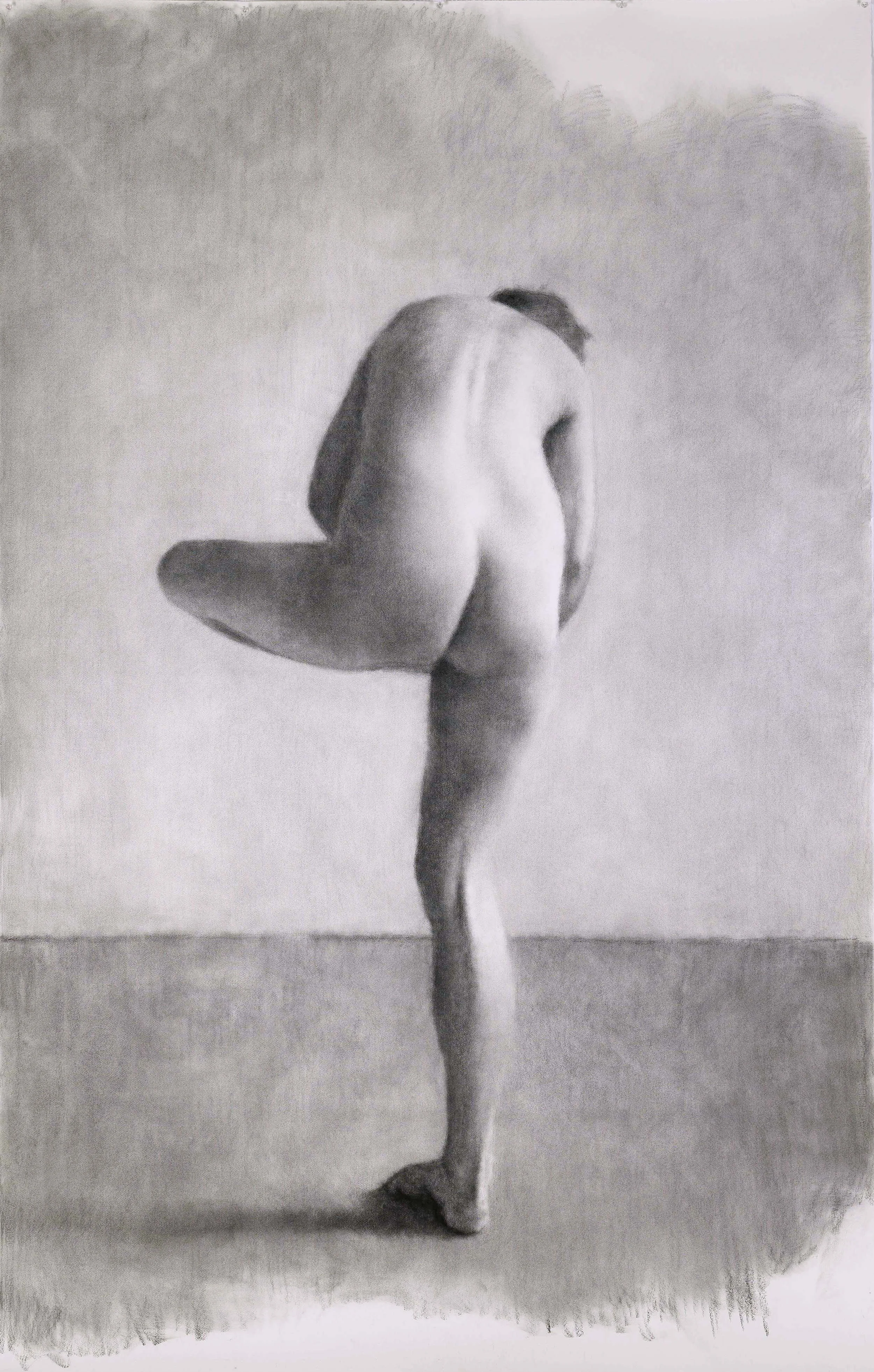 Drawing (Nude 106), 2010, willow charcoal on Fabriano paper, 2200 x 1400mm.