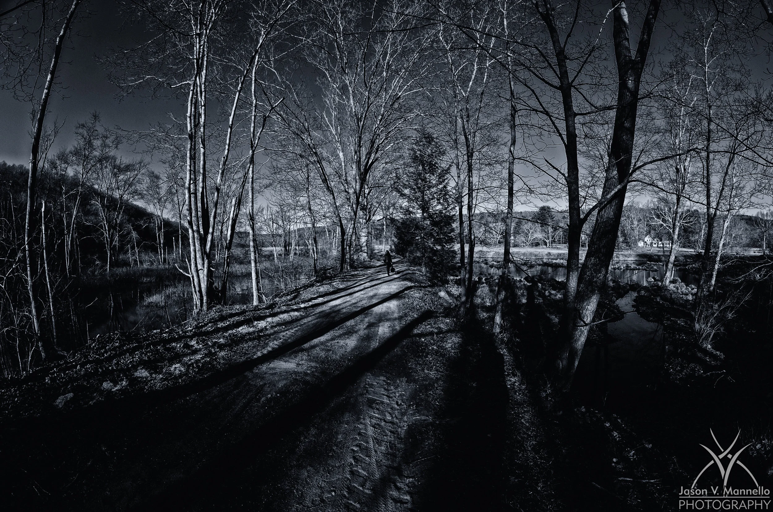 DSC_0536edit.jpg