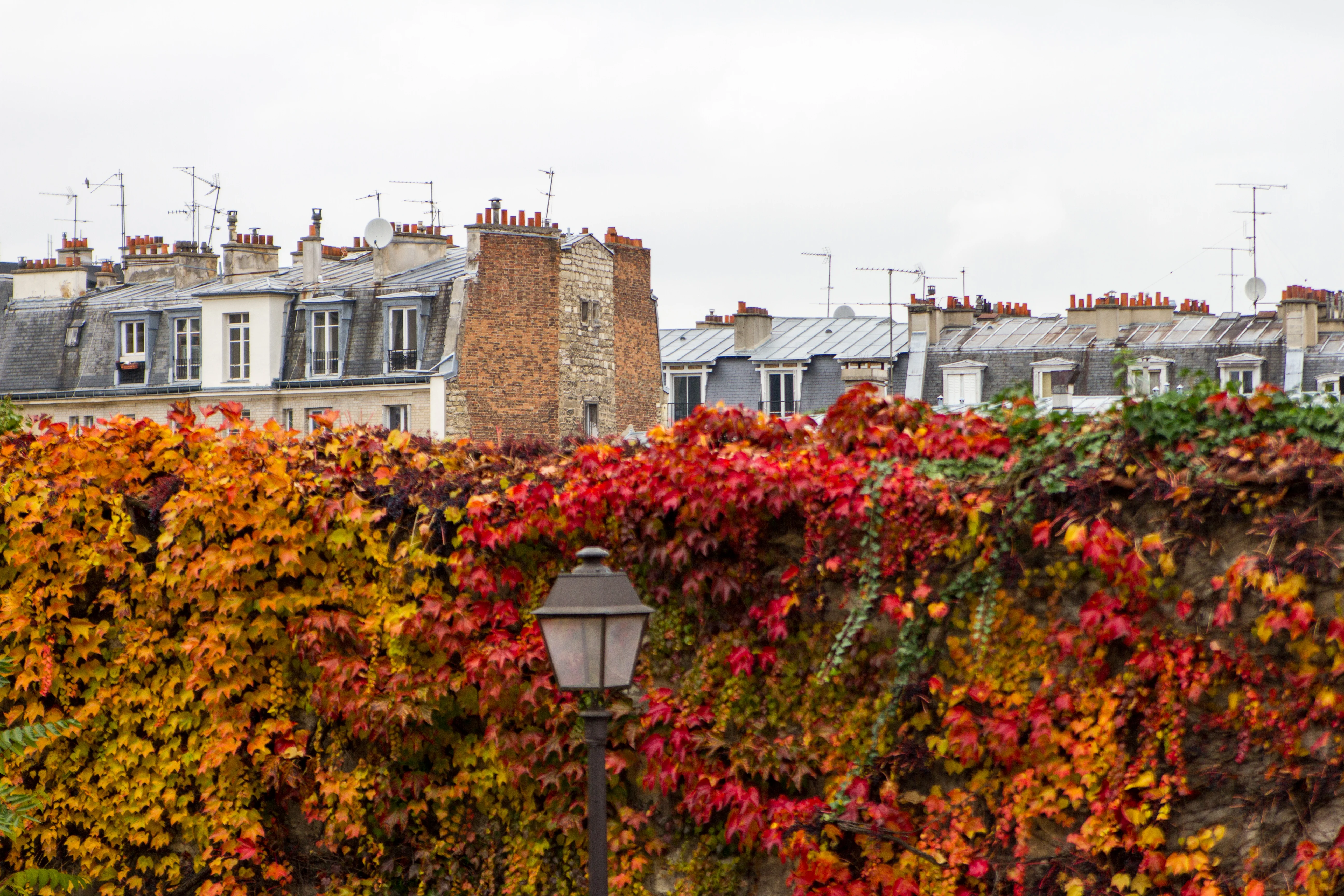 Paris Part 2