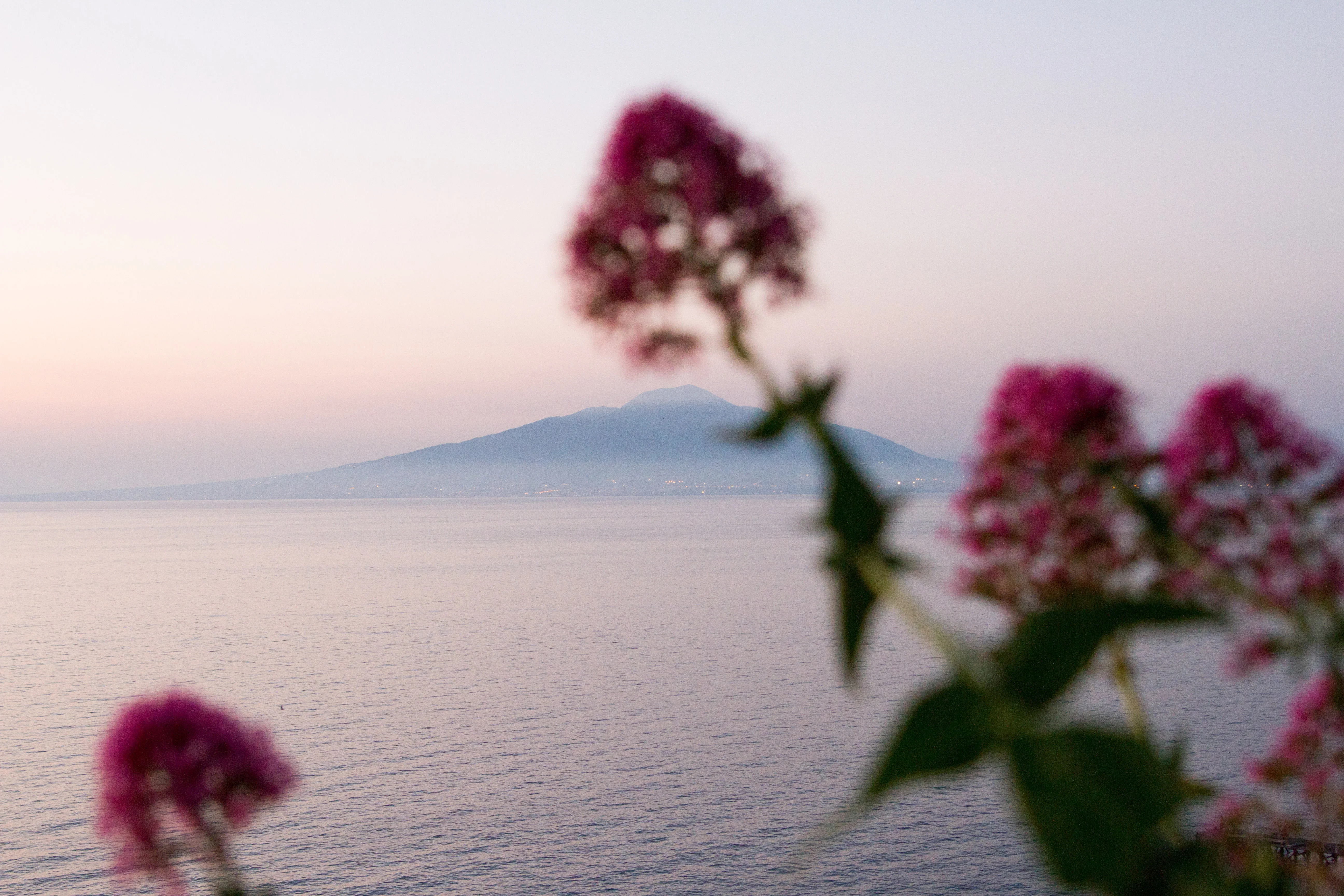 On the road (and boat, train, plane, and bus) again