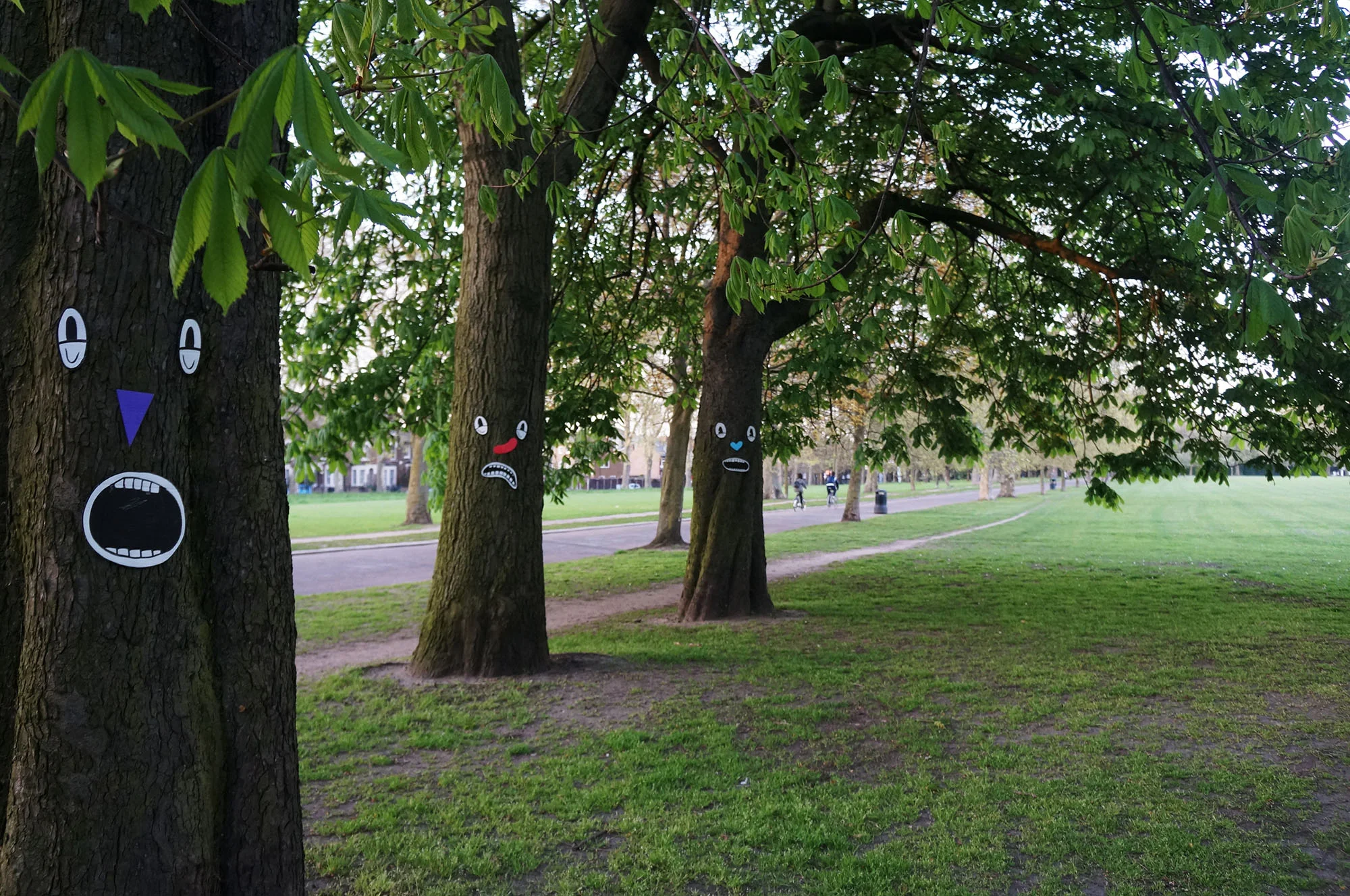 DSC01760.jpg