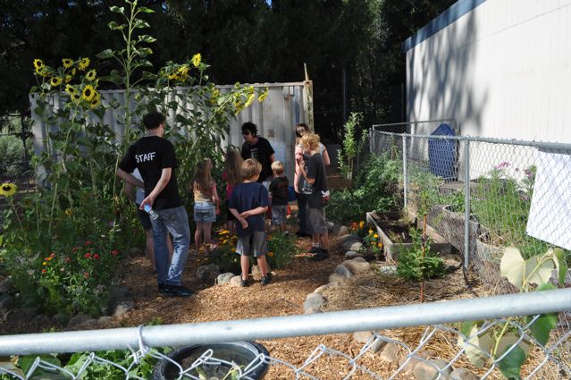 learning about harvesting the garden.jpg