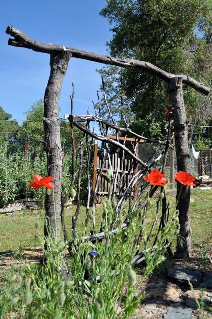 garden gate.jpg