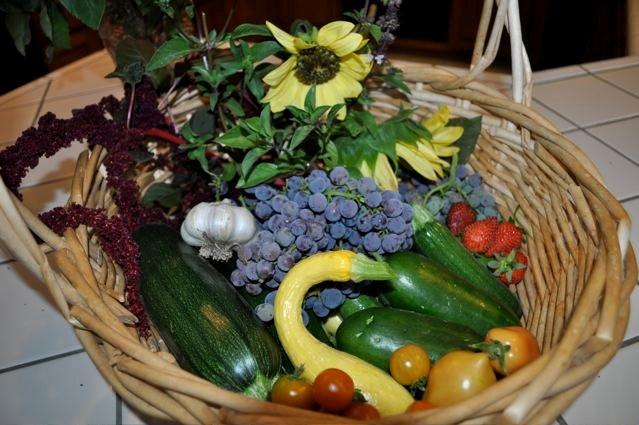 harvesting a rainbow of color.jpg