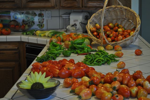 summer morning harvest.jpg