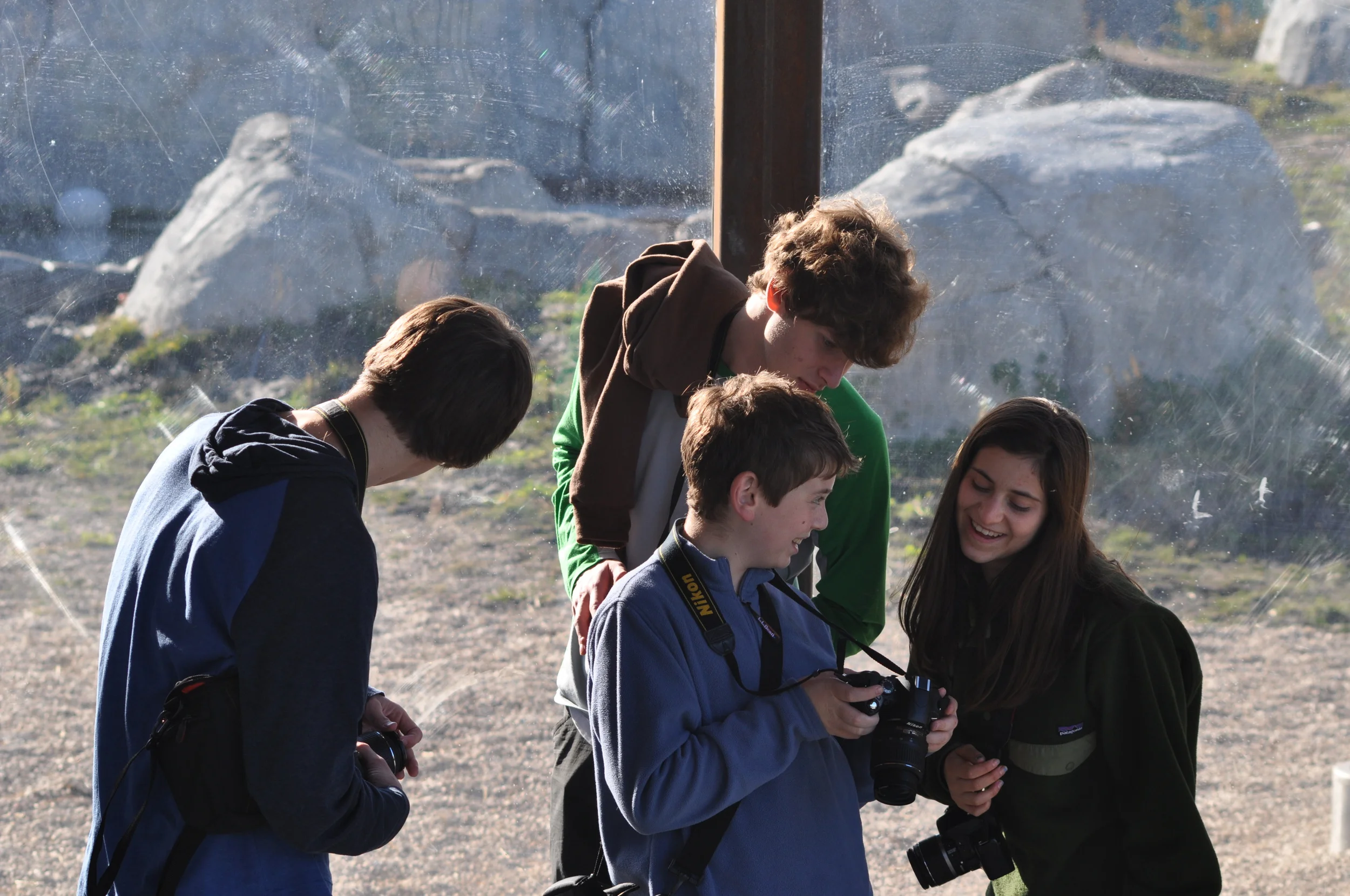 Taking photos of the bears at the zoo