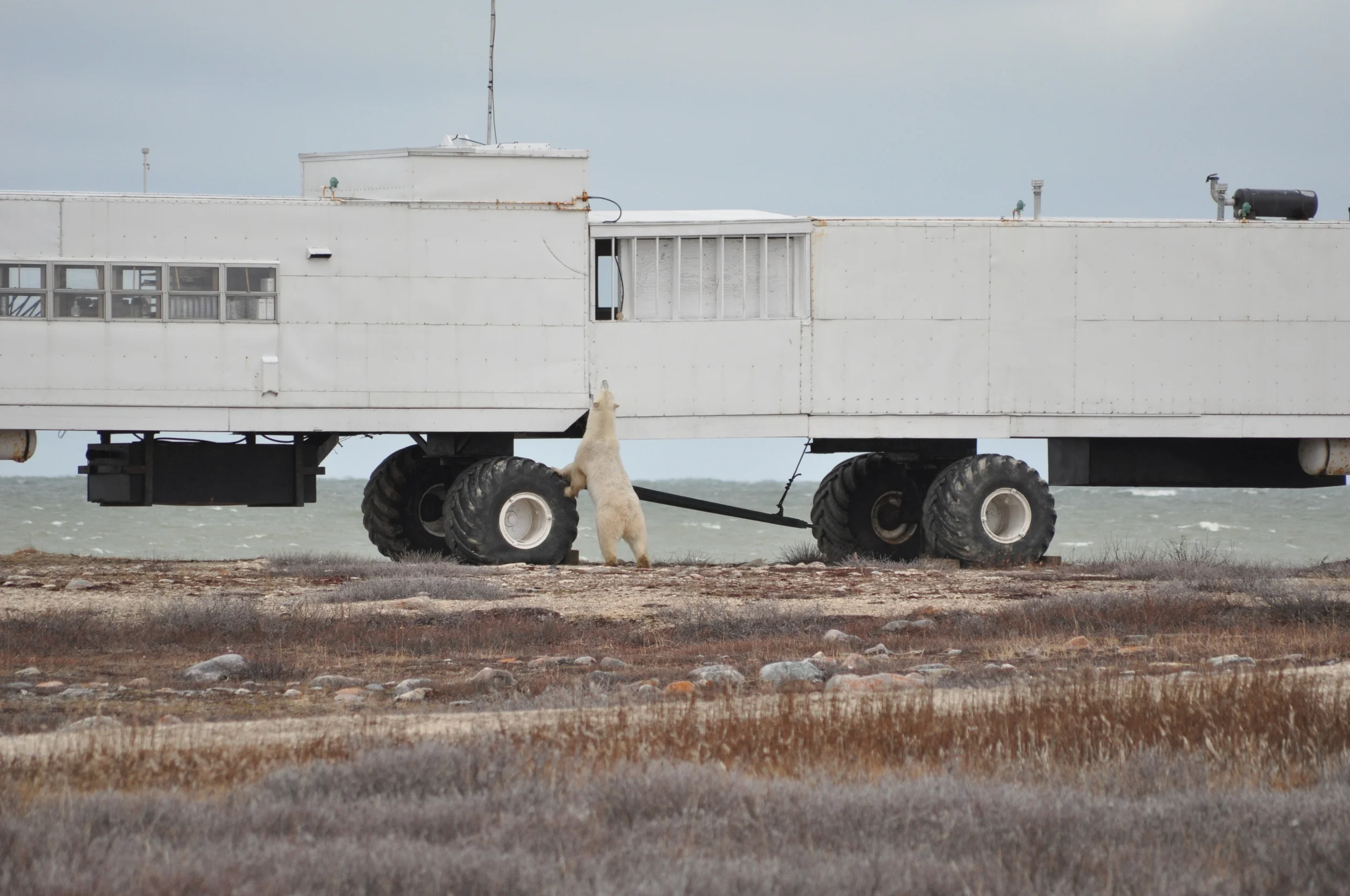 The Tundra Buggy Hotel