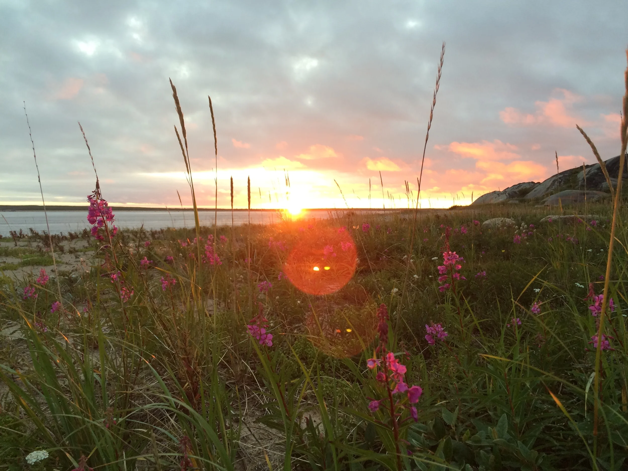 Flowers on the Bay at Sunset