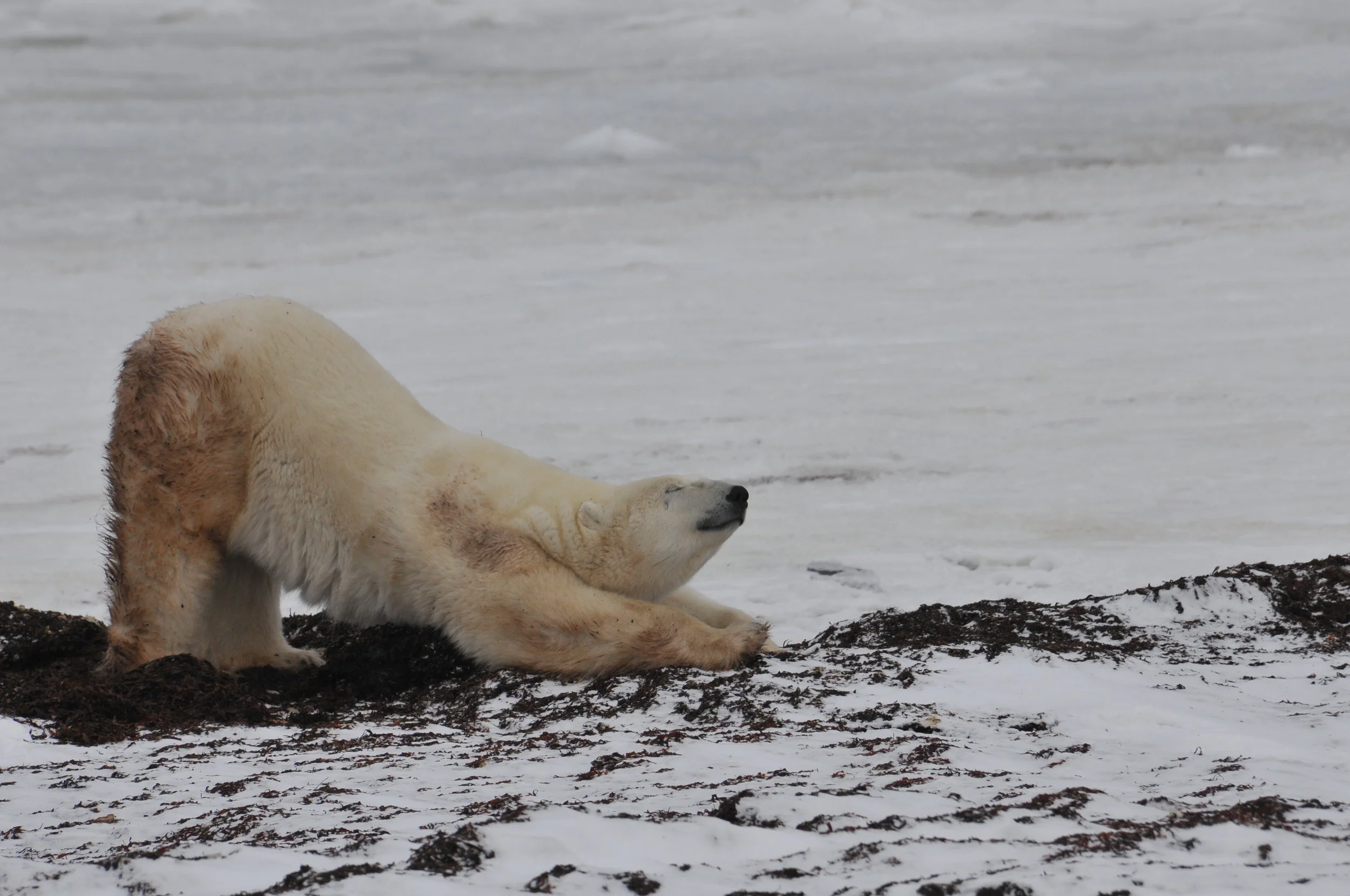DS3_4094.JPG