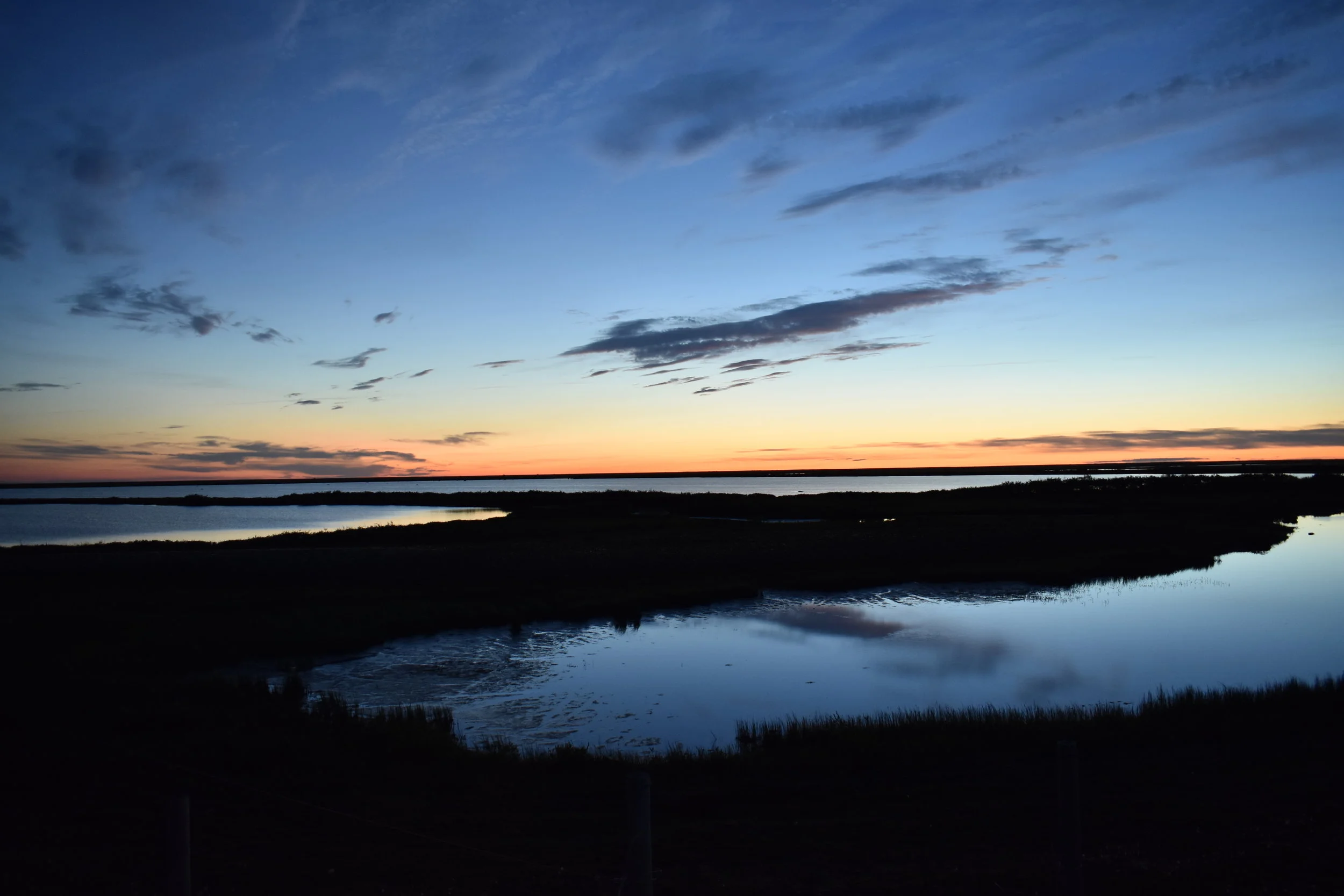 DSC_0587.JPG