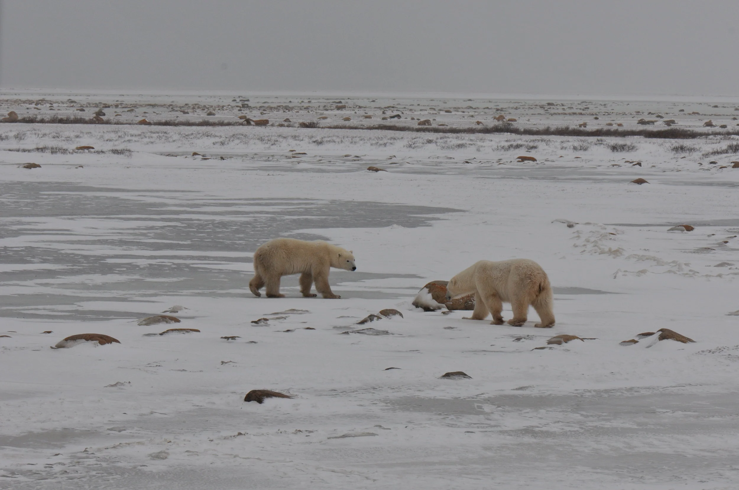DS3_6855.JPG