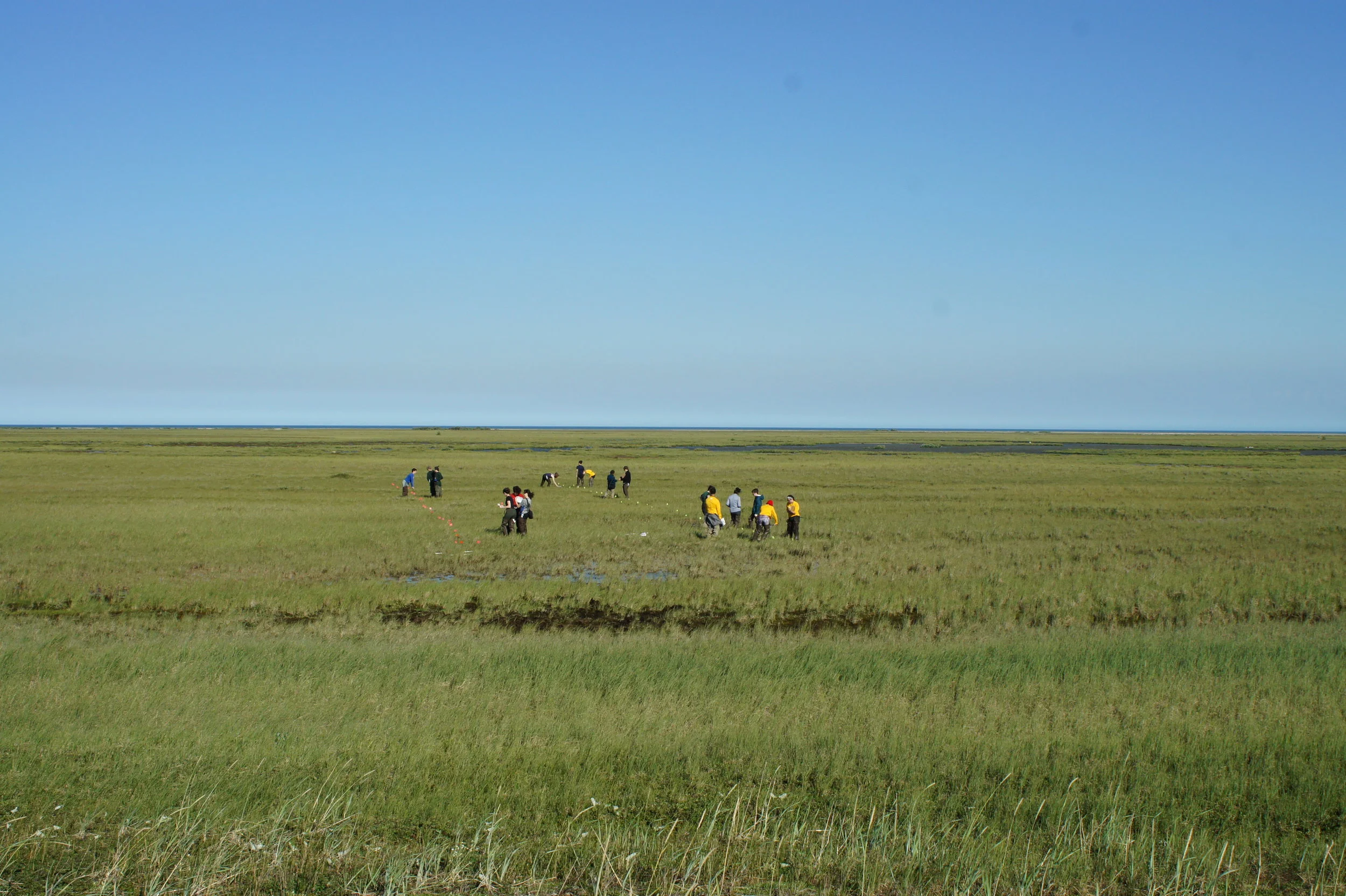 DSC06875.JPG
