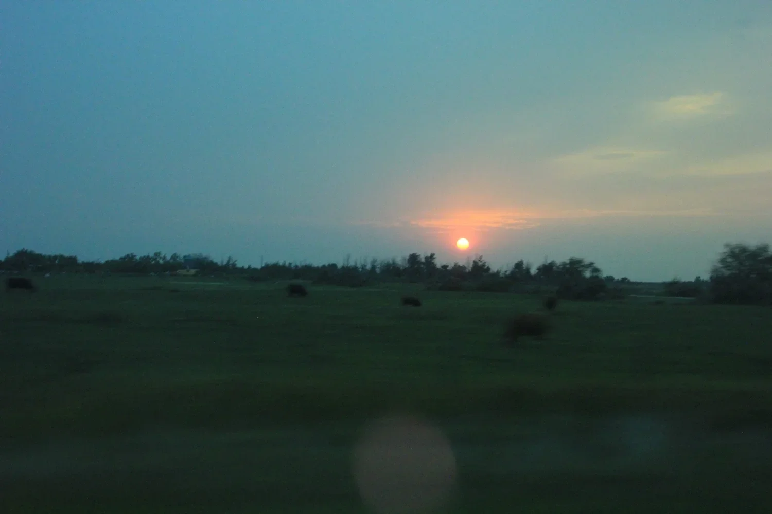 IMG_0701.webp