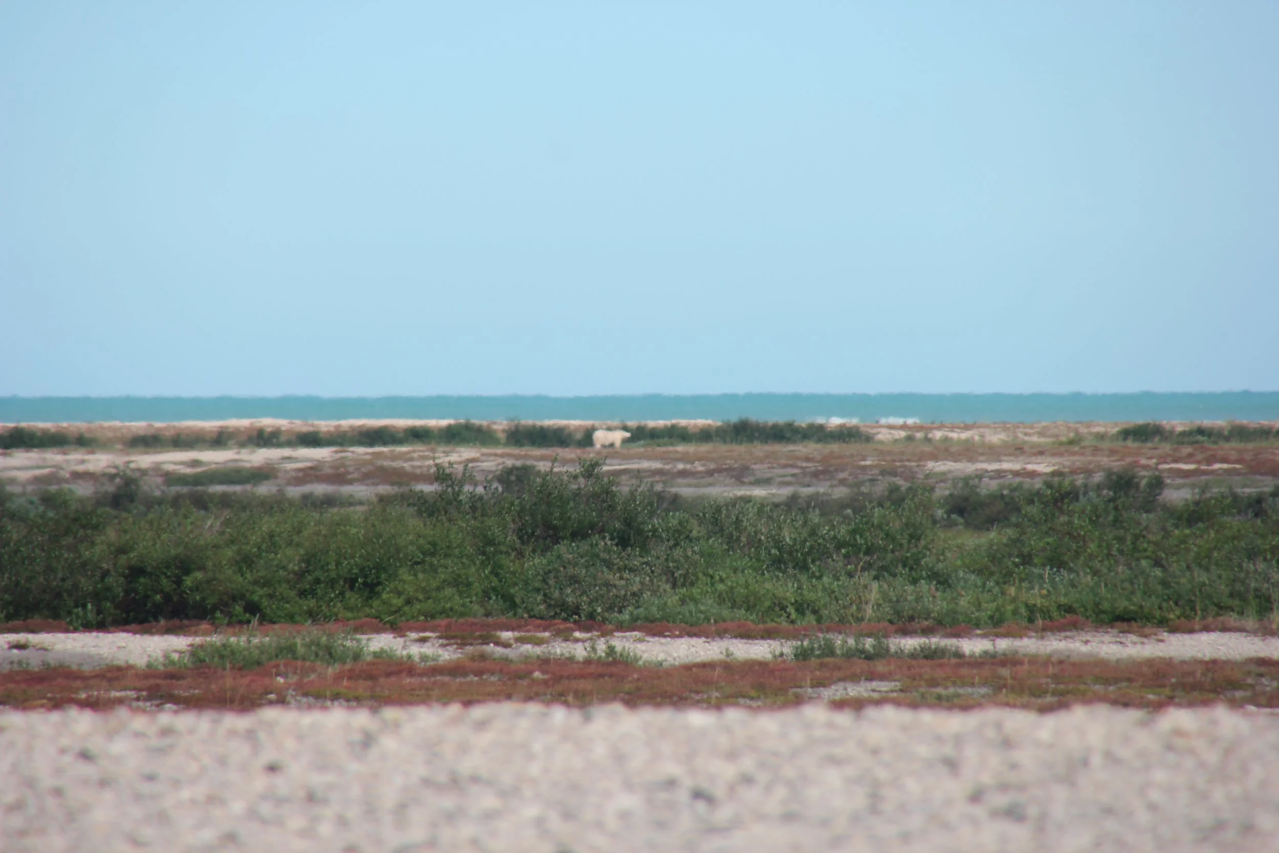 IMG_6789.JPG