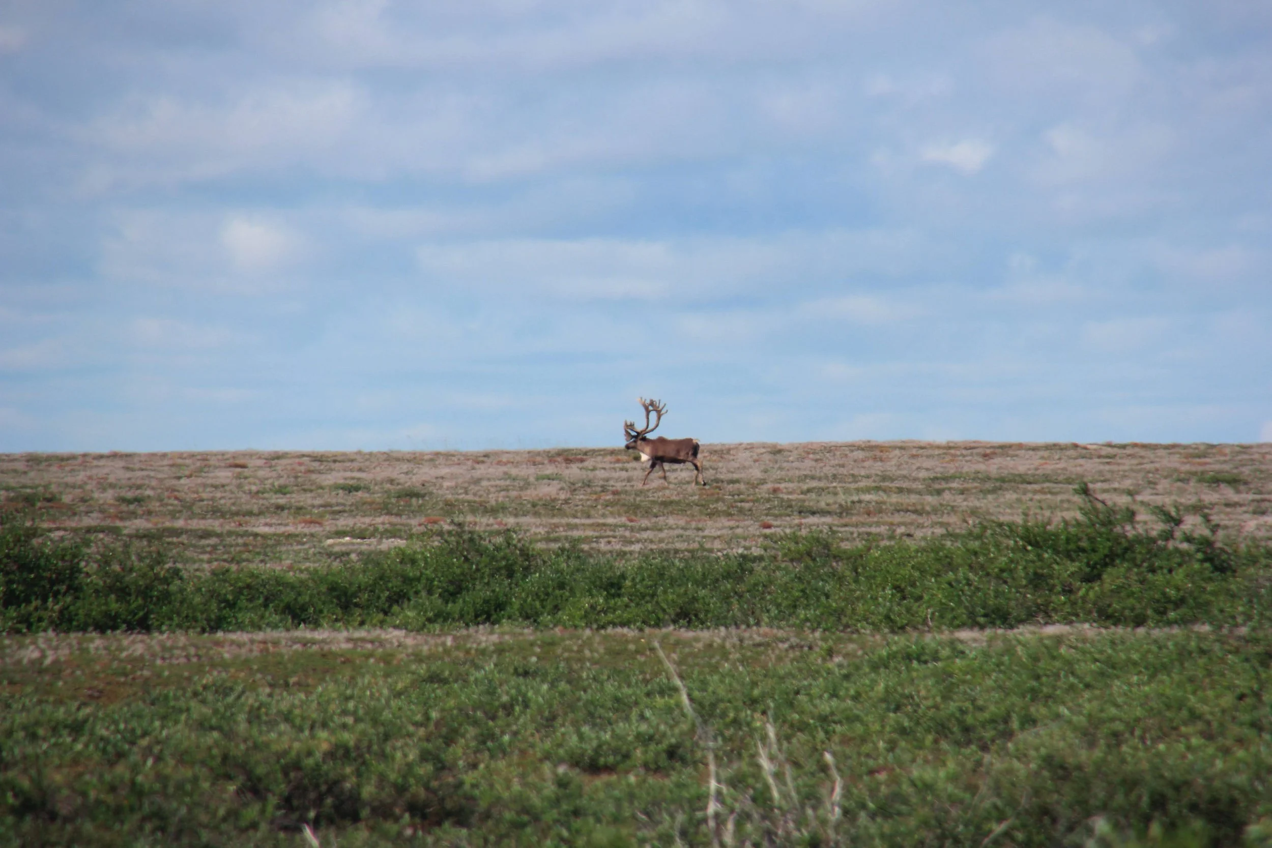 IMG_6758.CR2.jpg