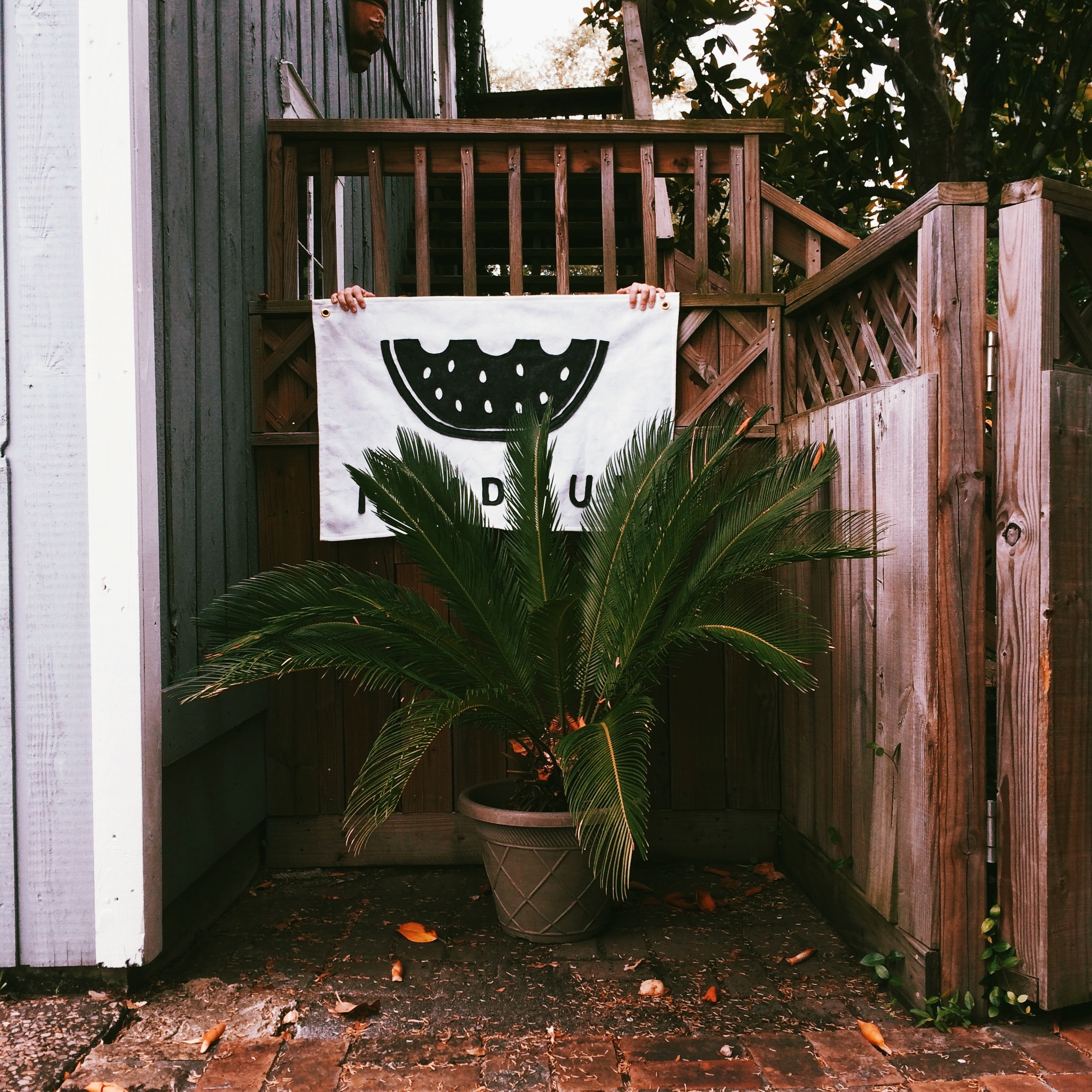 carra sykes, texas