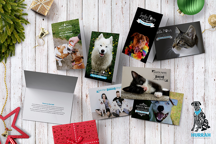 7 Card Mockup-web.jpg