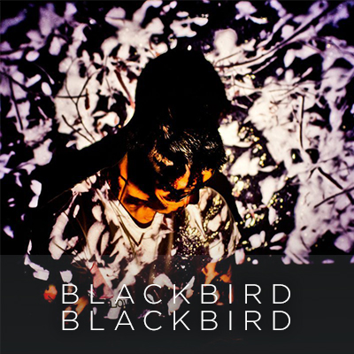 Blackbird Blackbird