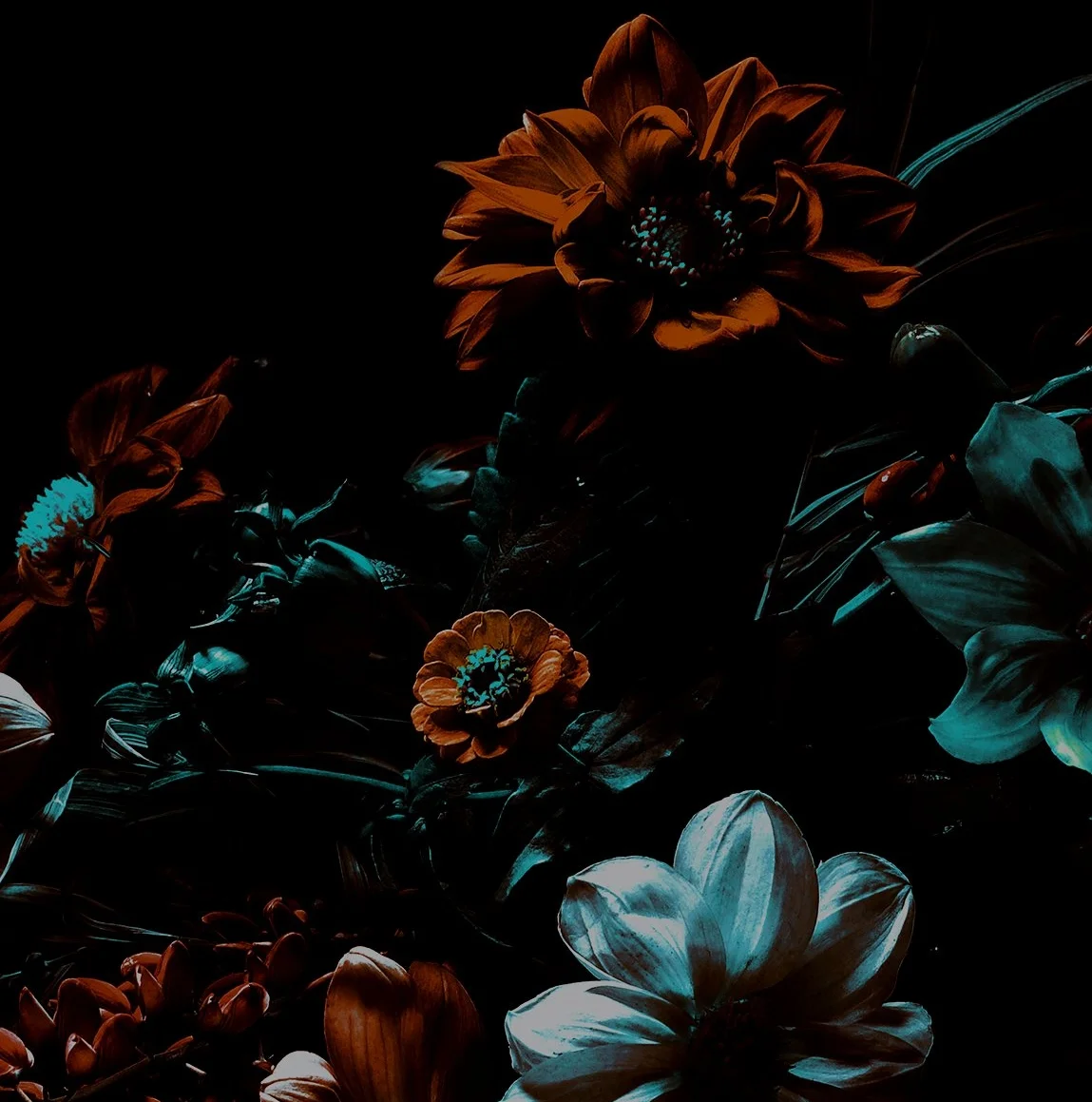 New Groove Armada 'Love Lights the Underground' Out Now!