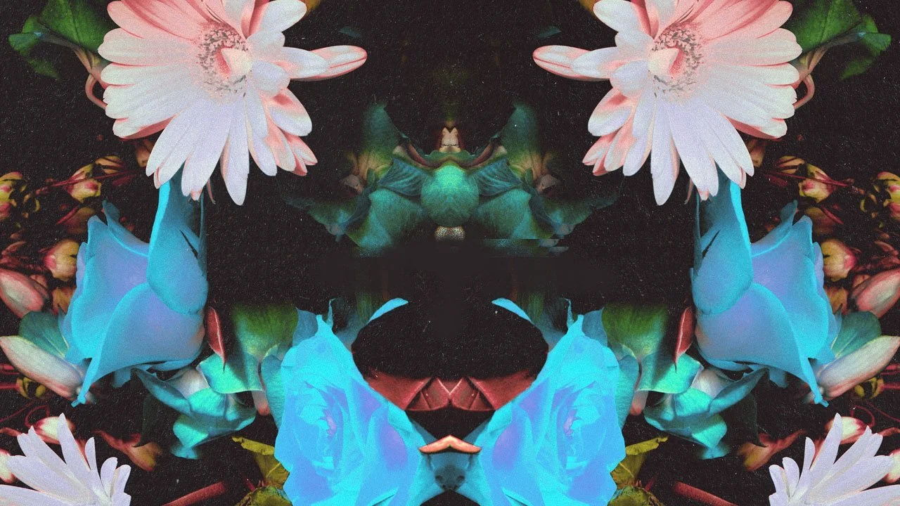 New Blackbird Blackbird 'Love Unlimited' Single