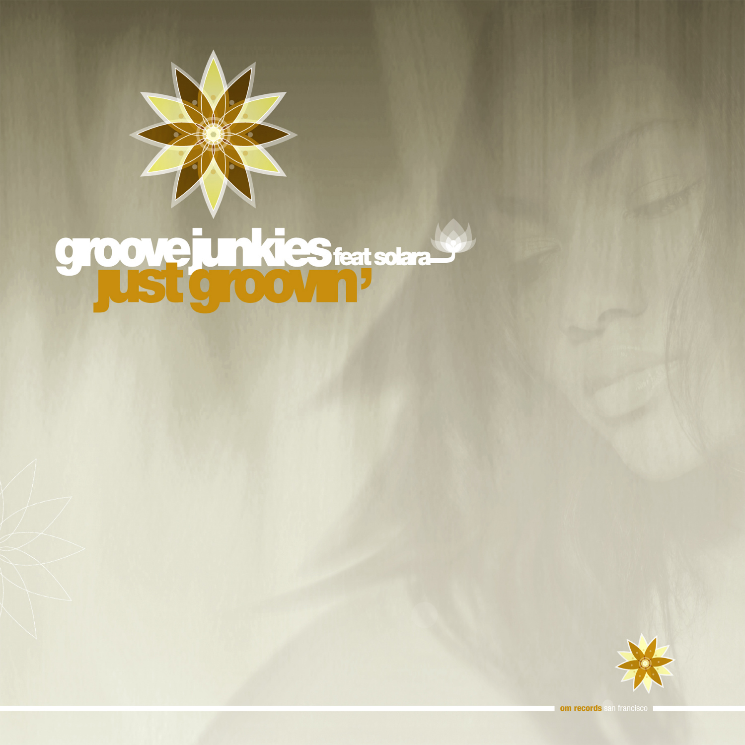 Groove Junkies - Just Groovin' 