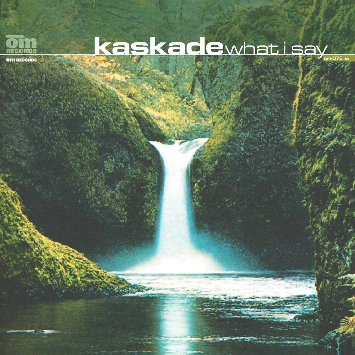 Kaskade - What I Say