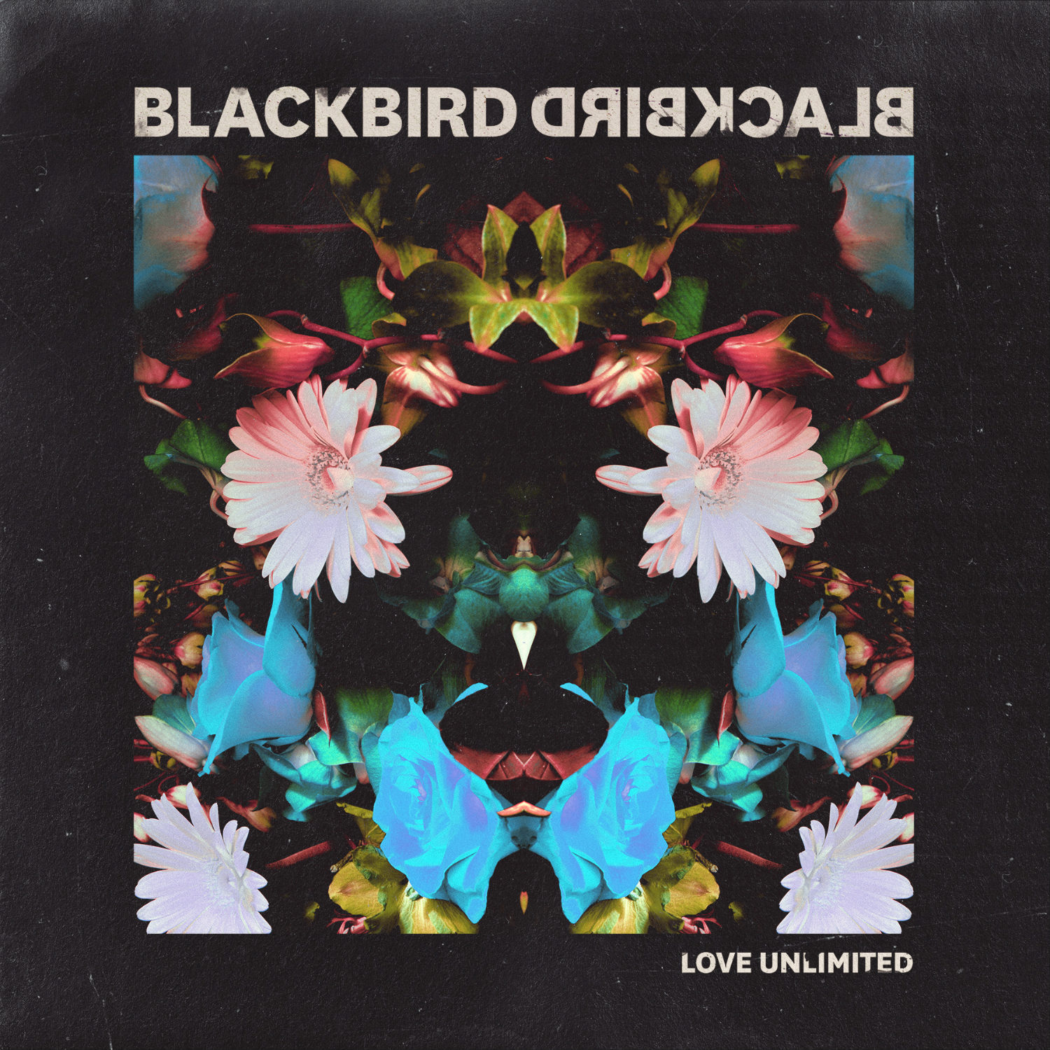 Blackbird Blackbird - Love Unlimited (Single)